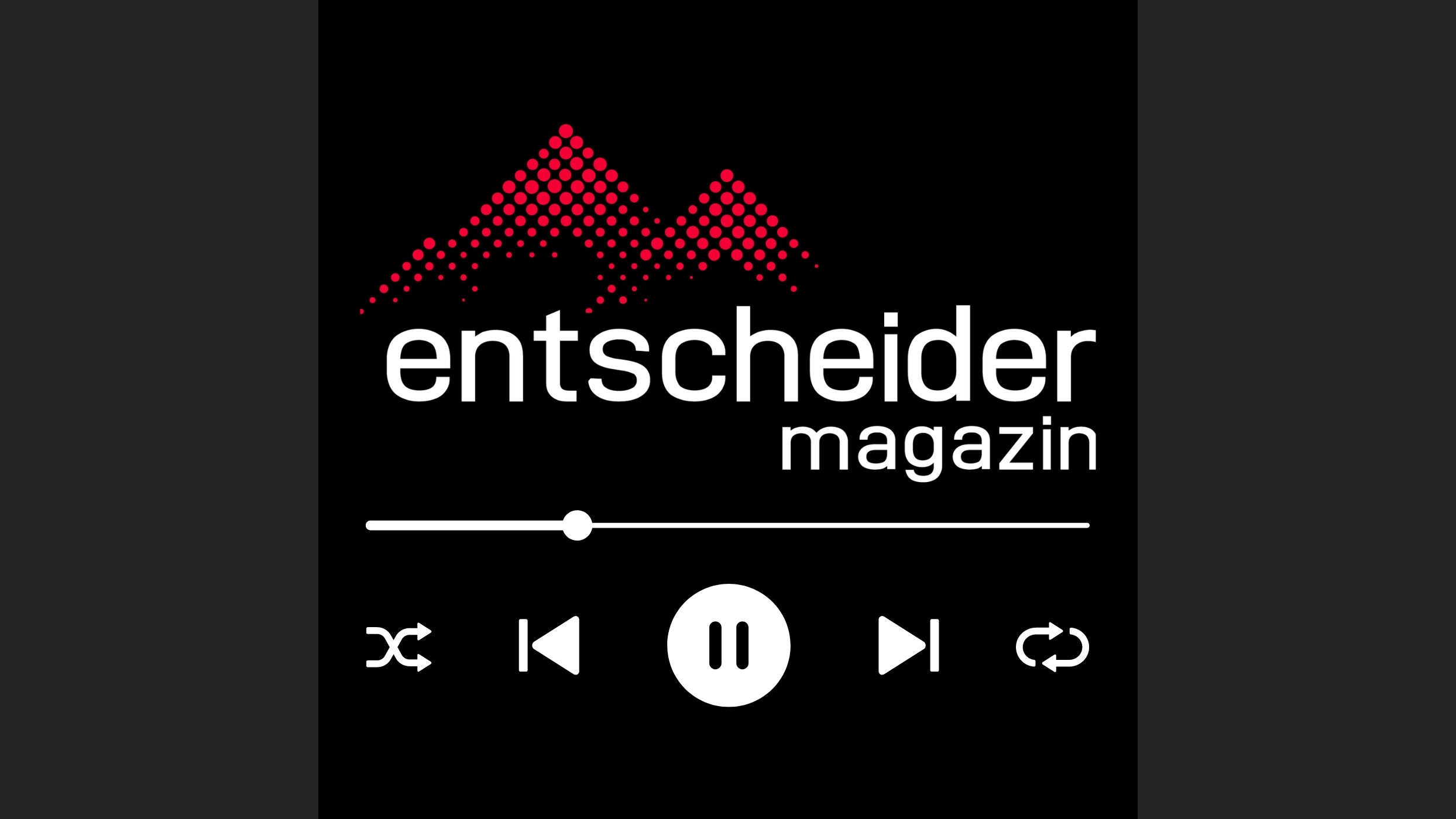 Entscheider - Einblicke in die Führungsgeheimnisse von Top-CEOs und Branchenführern