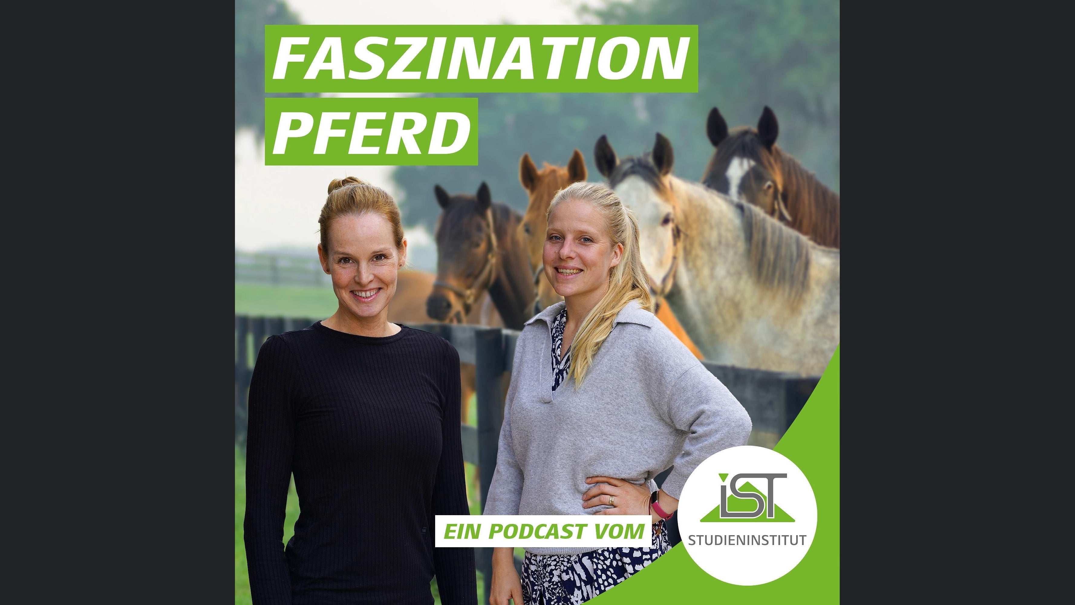 Faszination Pferd