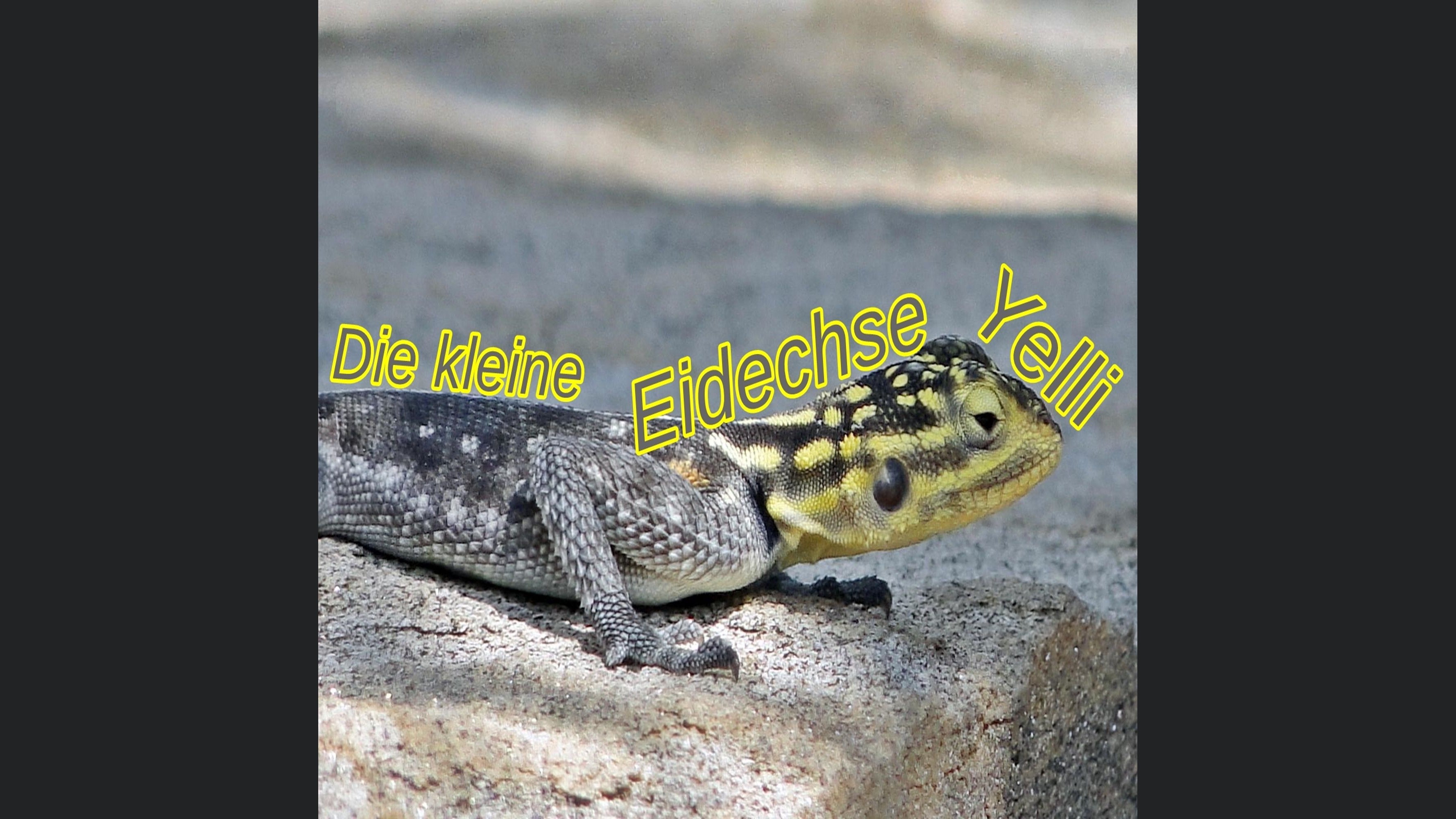 YelliStories