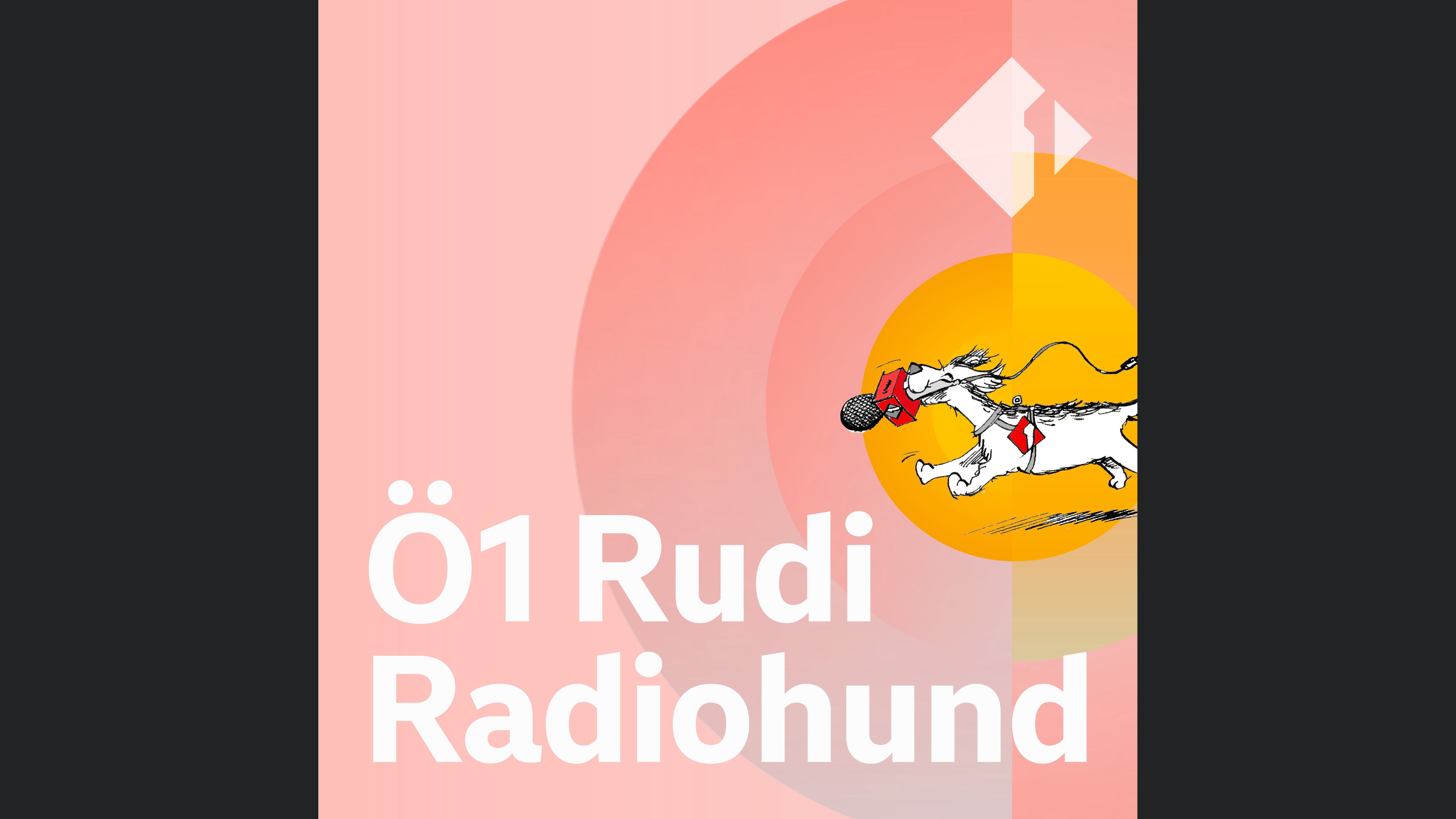 Ö1 Rudi Radiohund