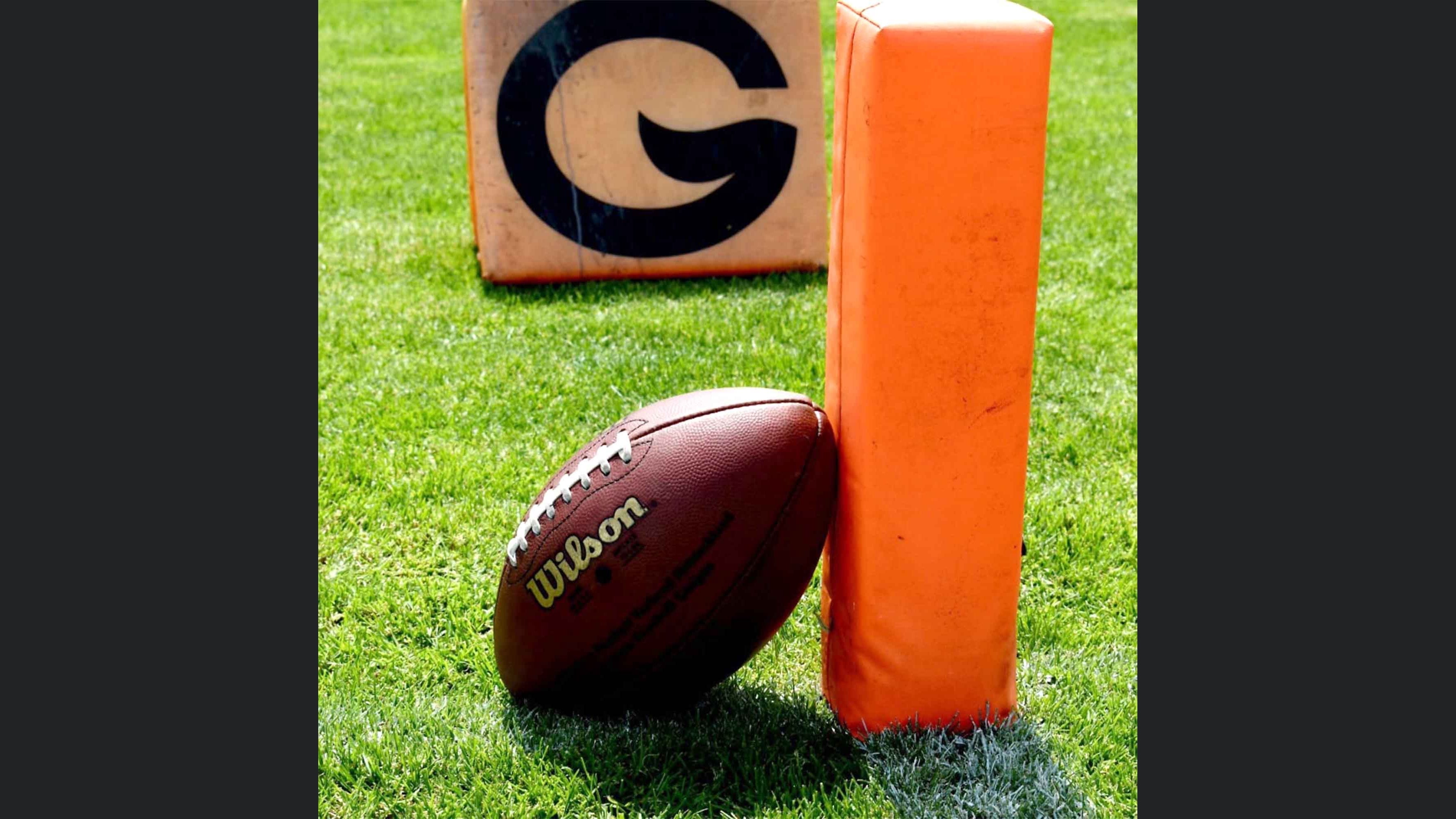 Von Zebras und anderen Tierarten im American Football