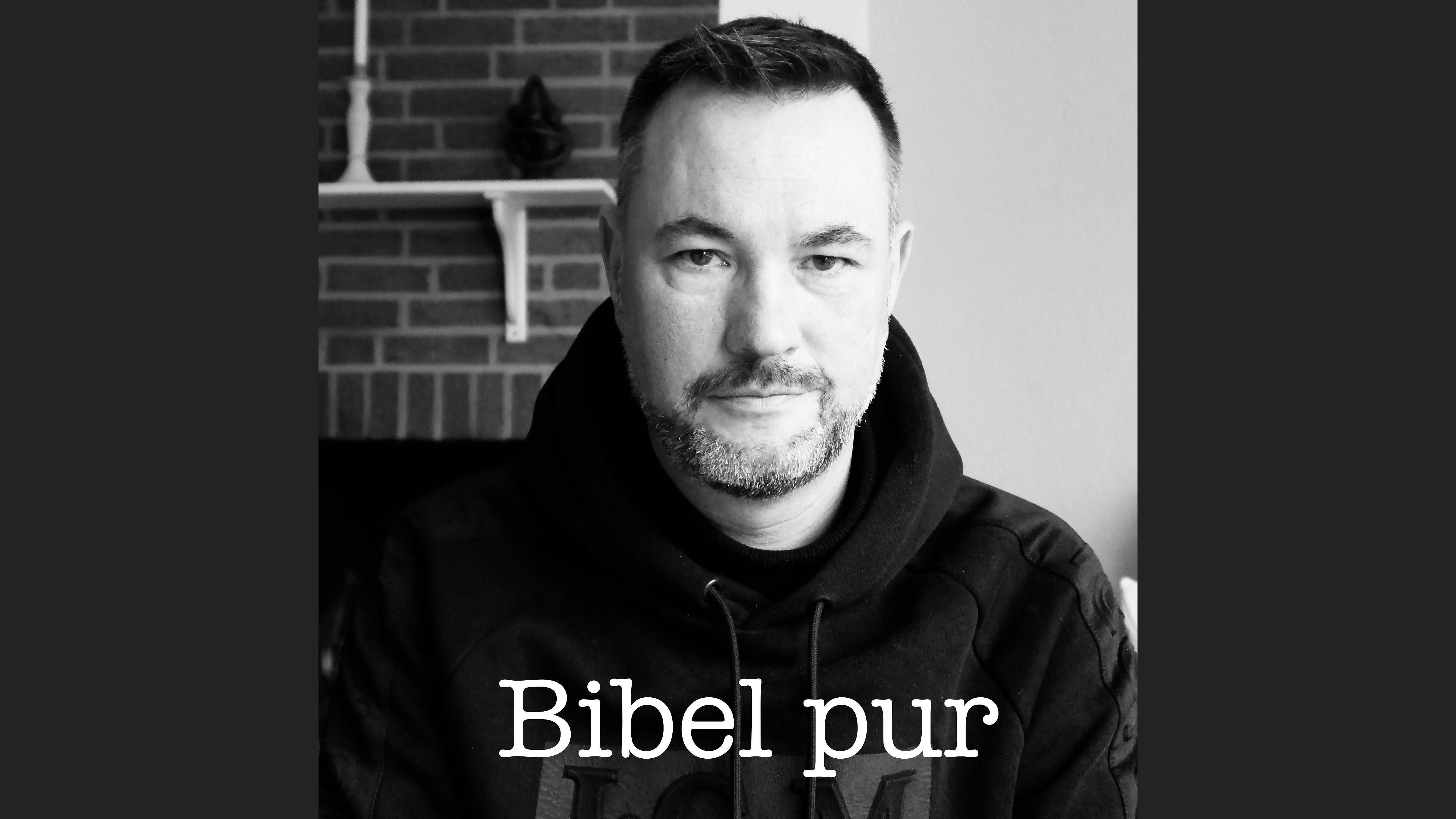 Bibel pur