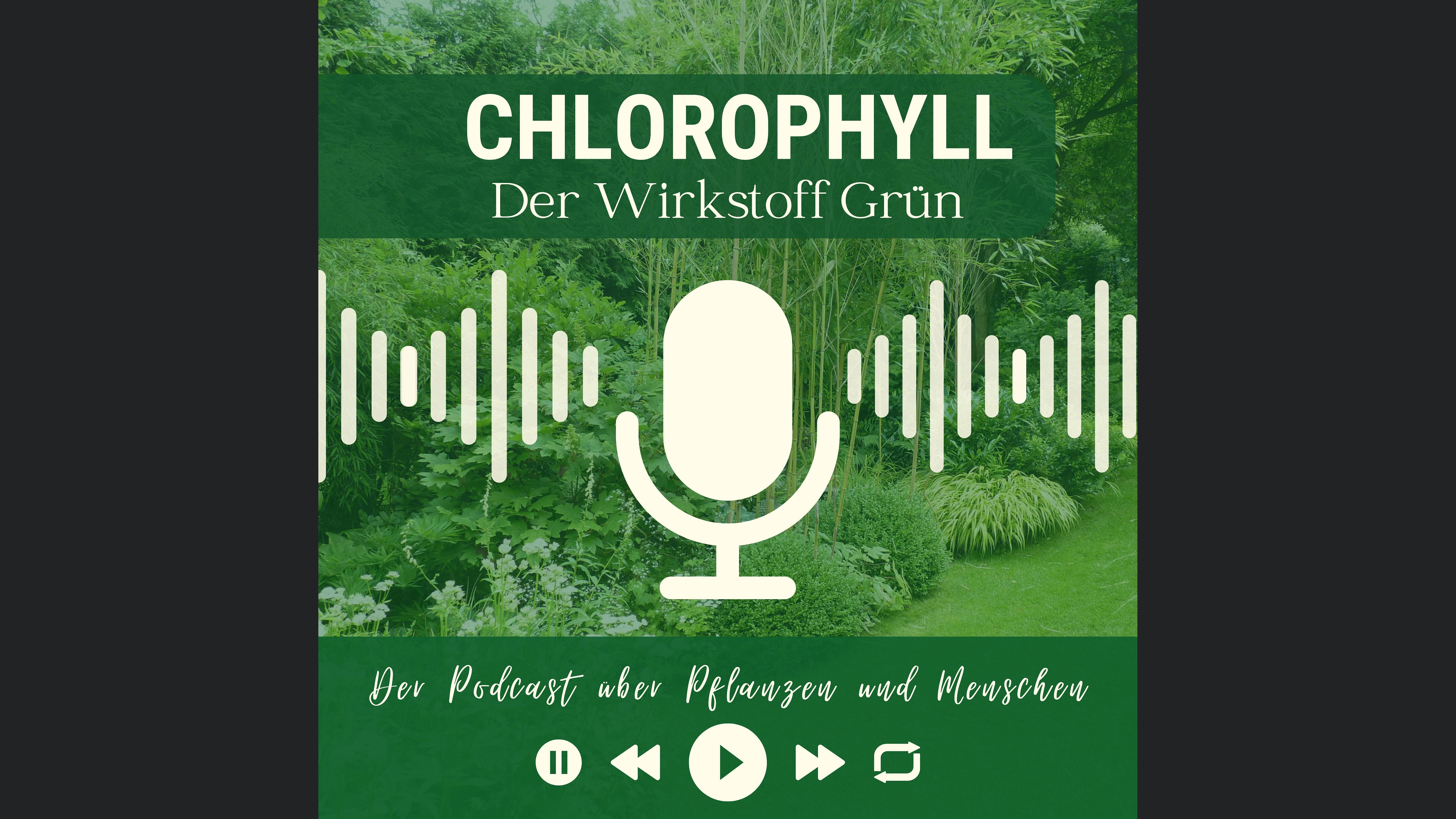 CHLOROPHYLL- der Wirkstoff Grün