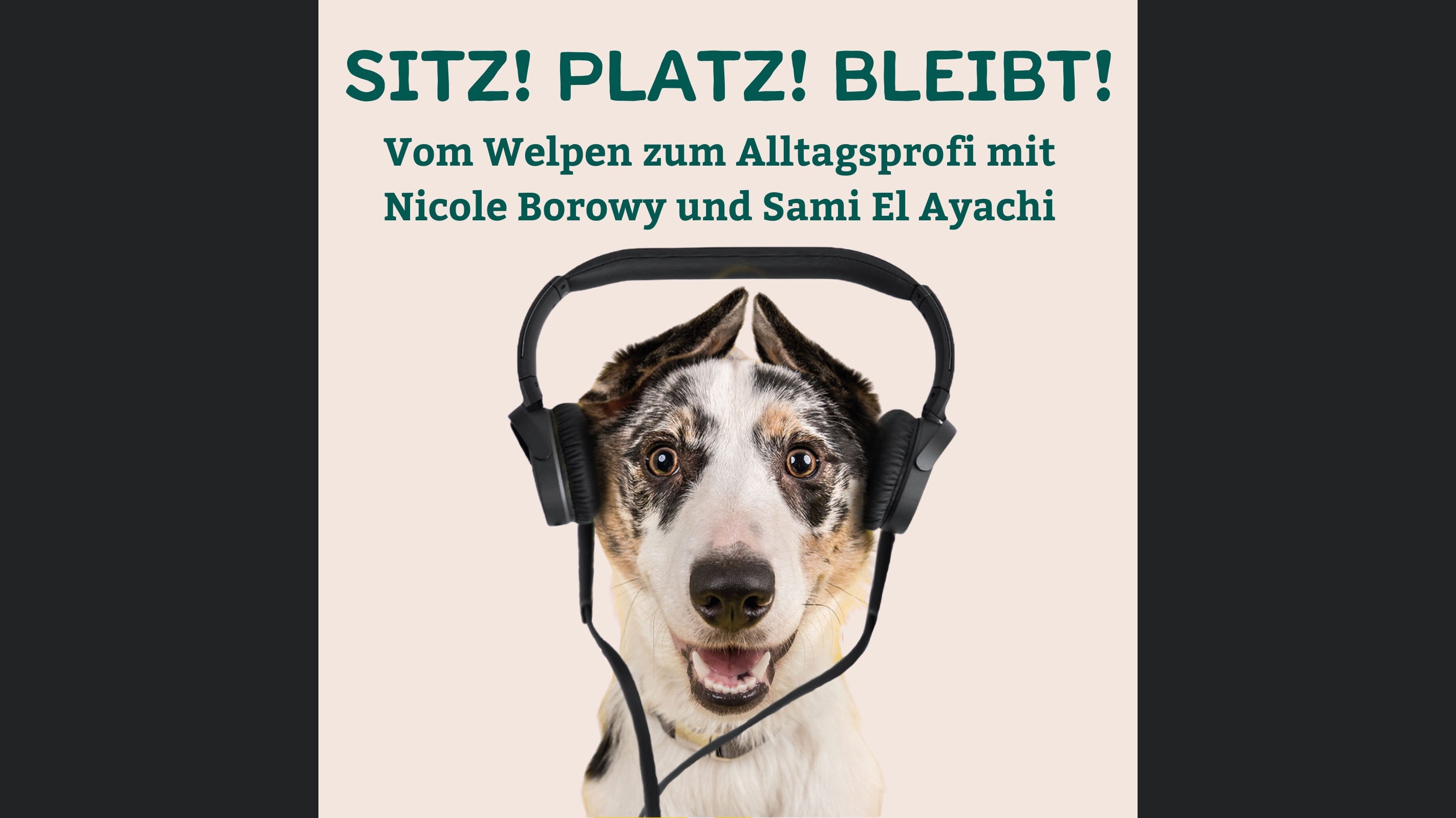 Sitz! Platz! Bleibt! - der Hundepodcast mit Nicole Borowy und Sami El Ayachi