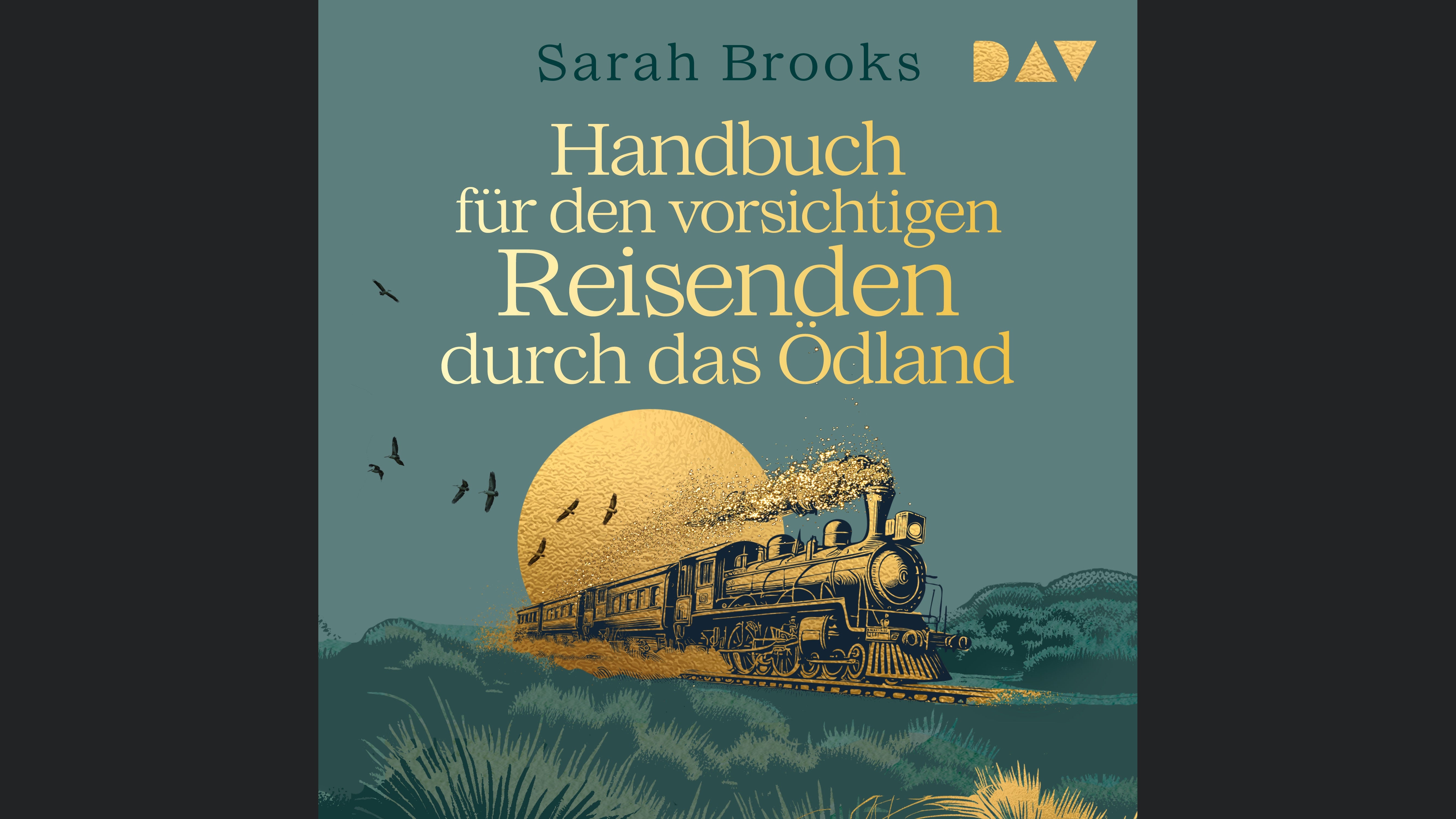 Handbuch für den vorsichtigen Reisenden durch das Ödland