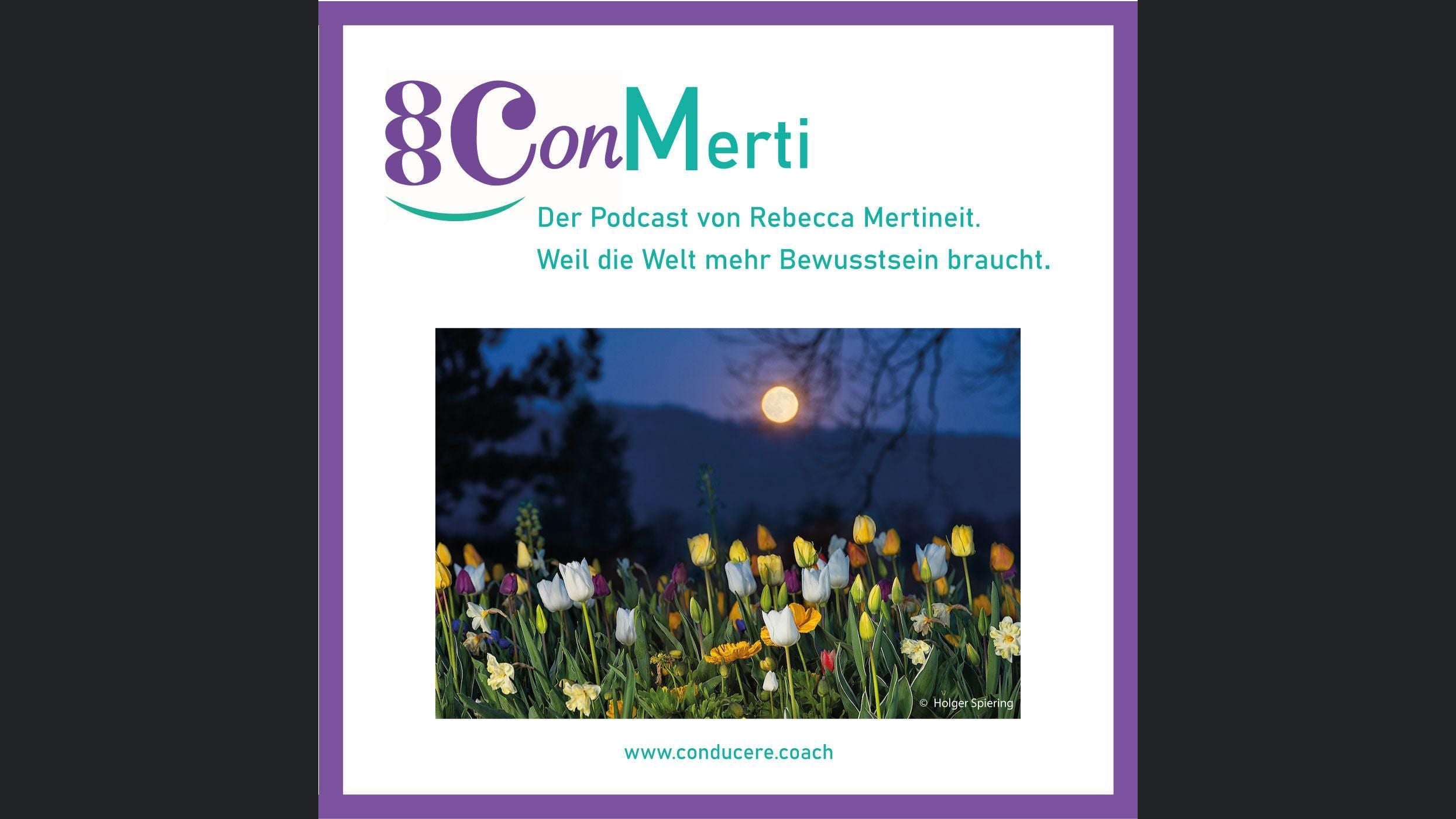 ConMerti | Weil die Welt mehr Bewusstsein braucht.