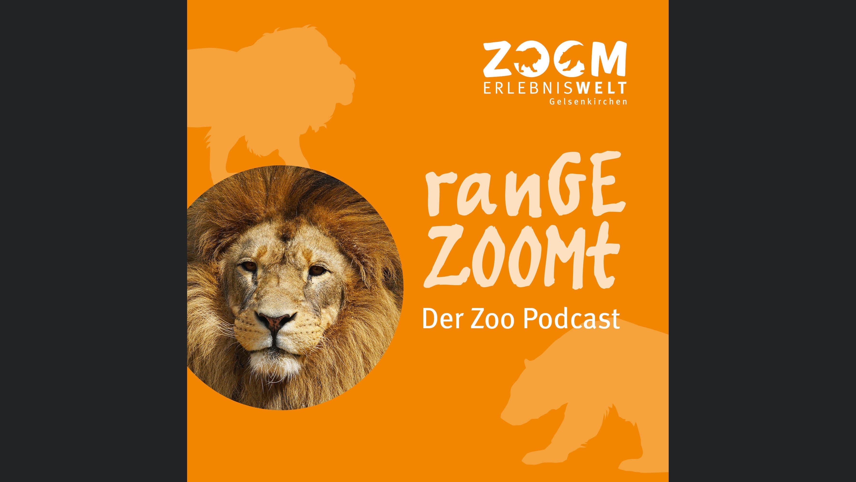 ranGEZOOMt - Der Podcast aus der ZOOM Erlebniswelt