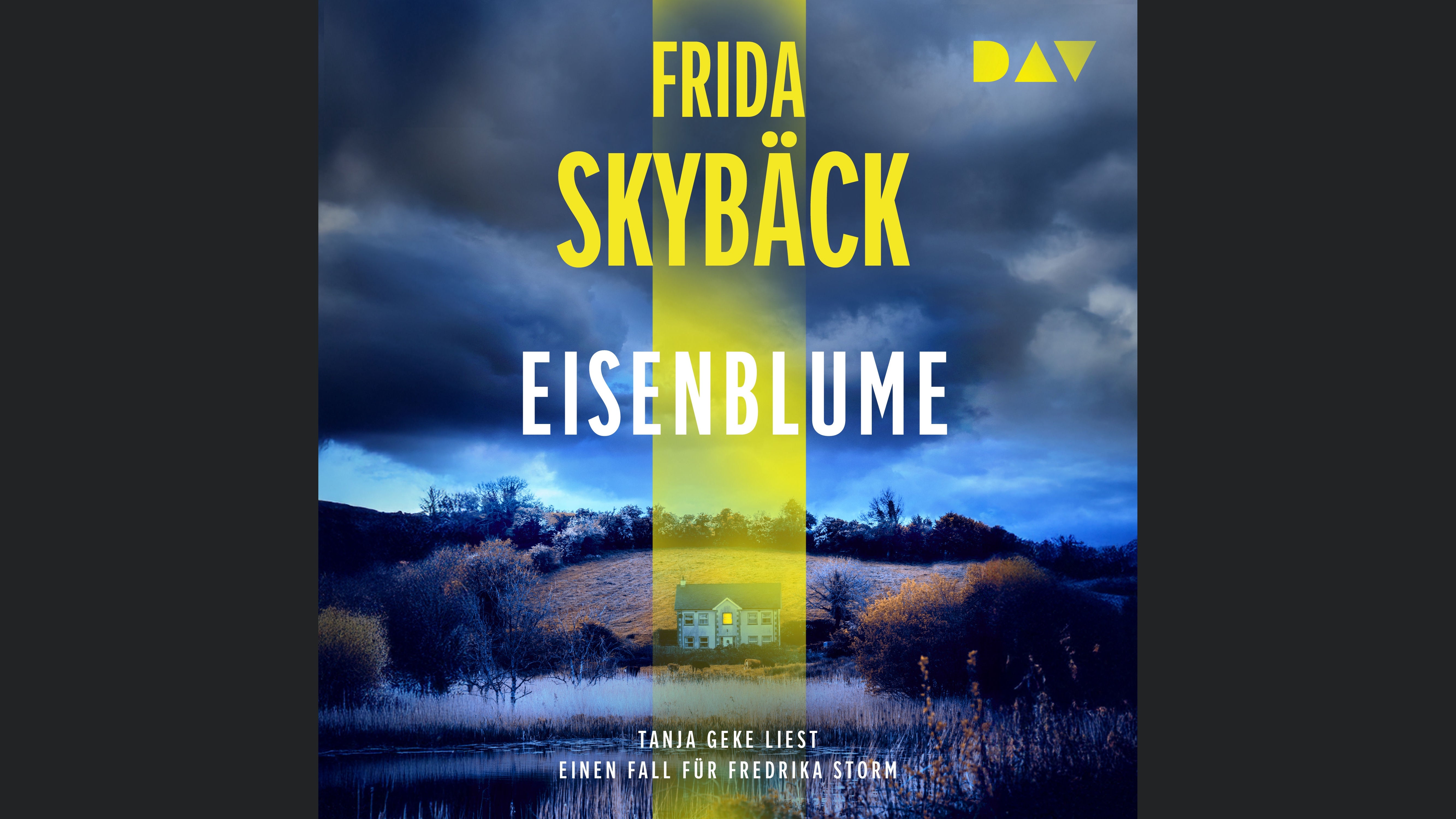 Eisenblume. Ein Fall für Fredrika Storm