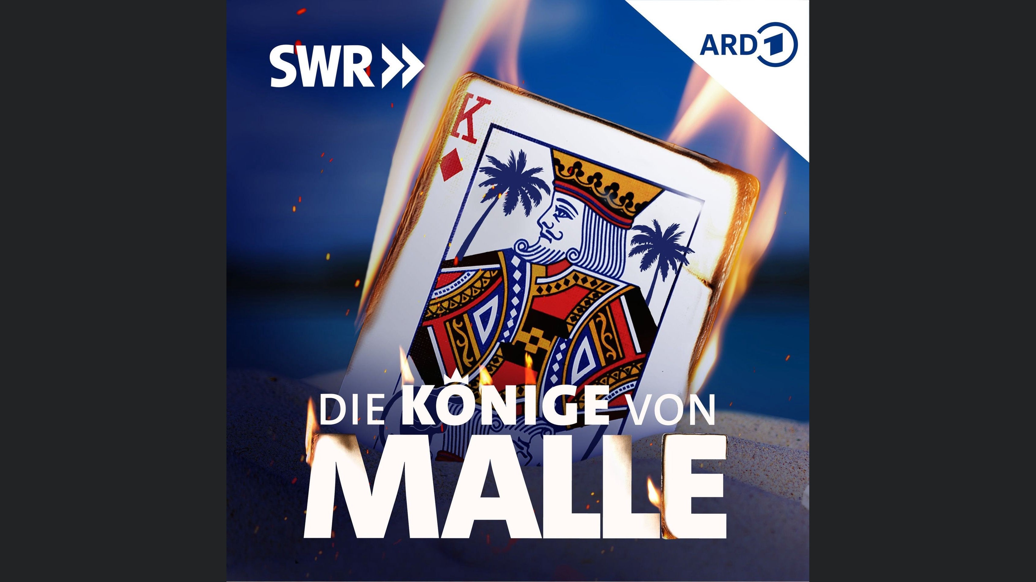 Based on a true Story – Die Könige von Malle