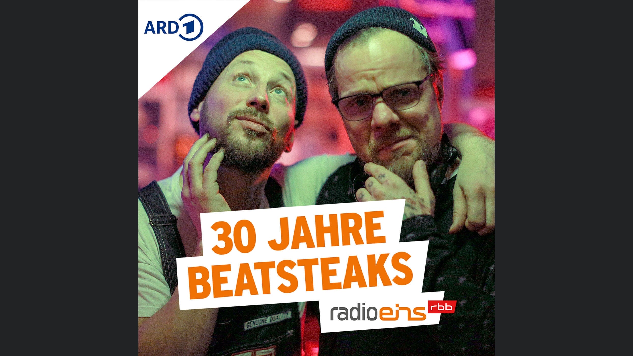 Do You Remember? - 30 Jahre Beatsteaks