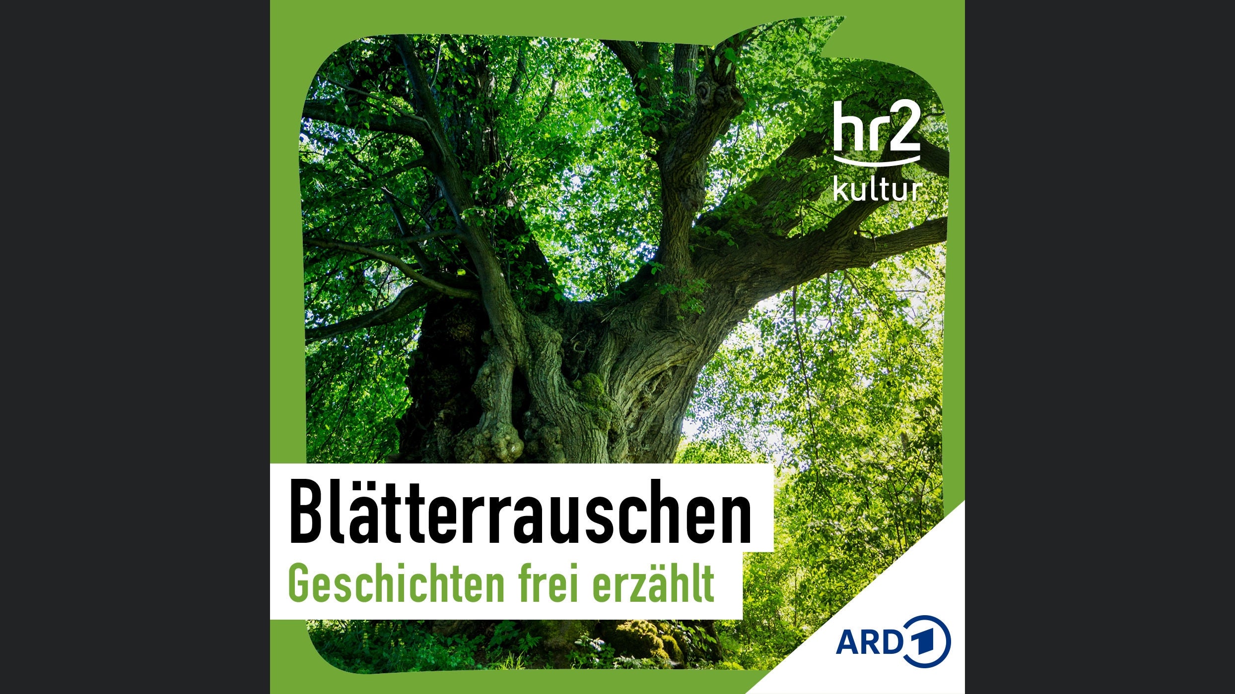 Blätterrauschen – Geschichten für Erwachsene, frei erzählt