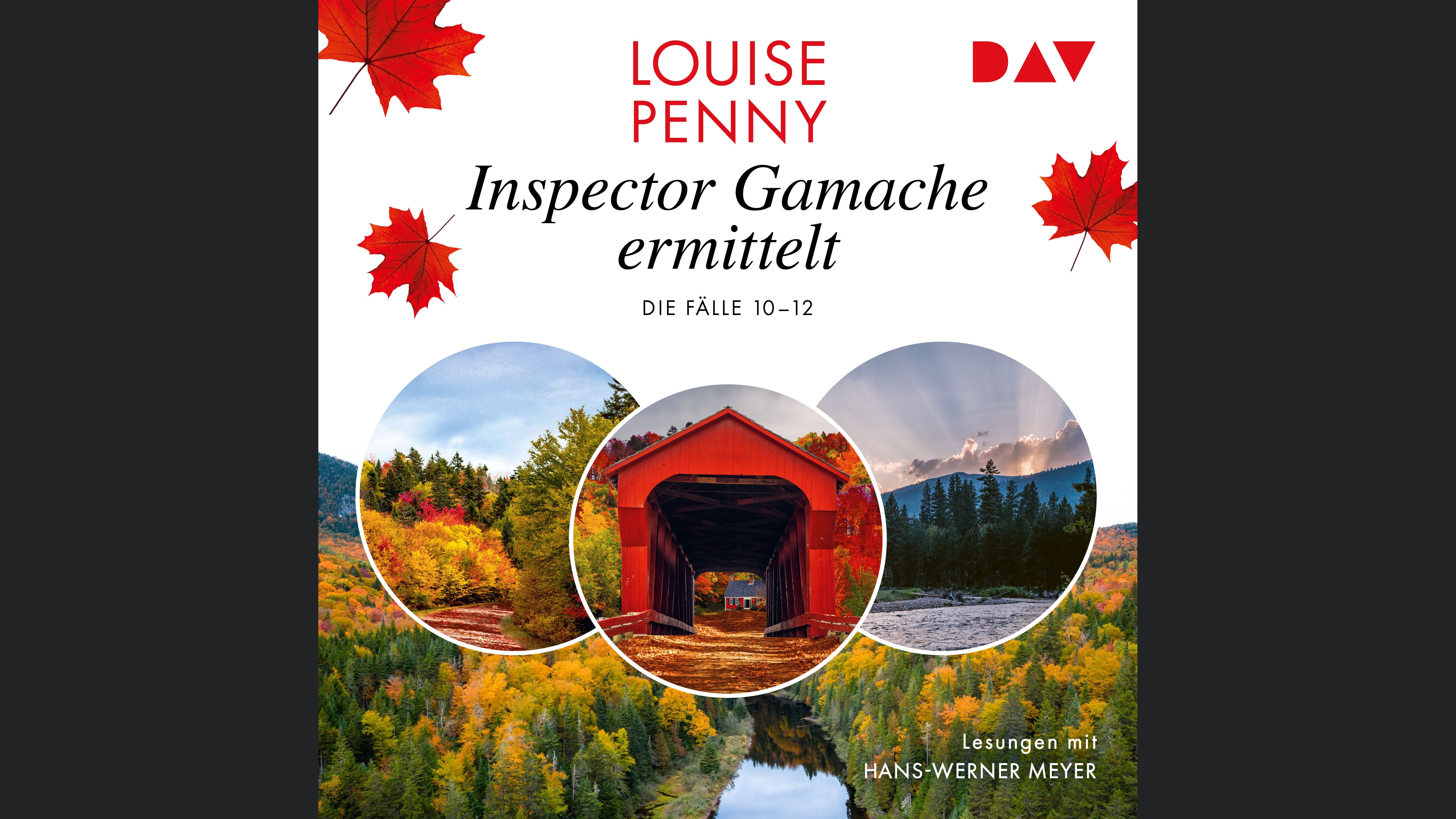 Inspector Gamache ermittelt. Die Fälle 10-12