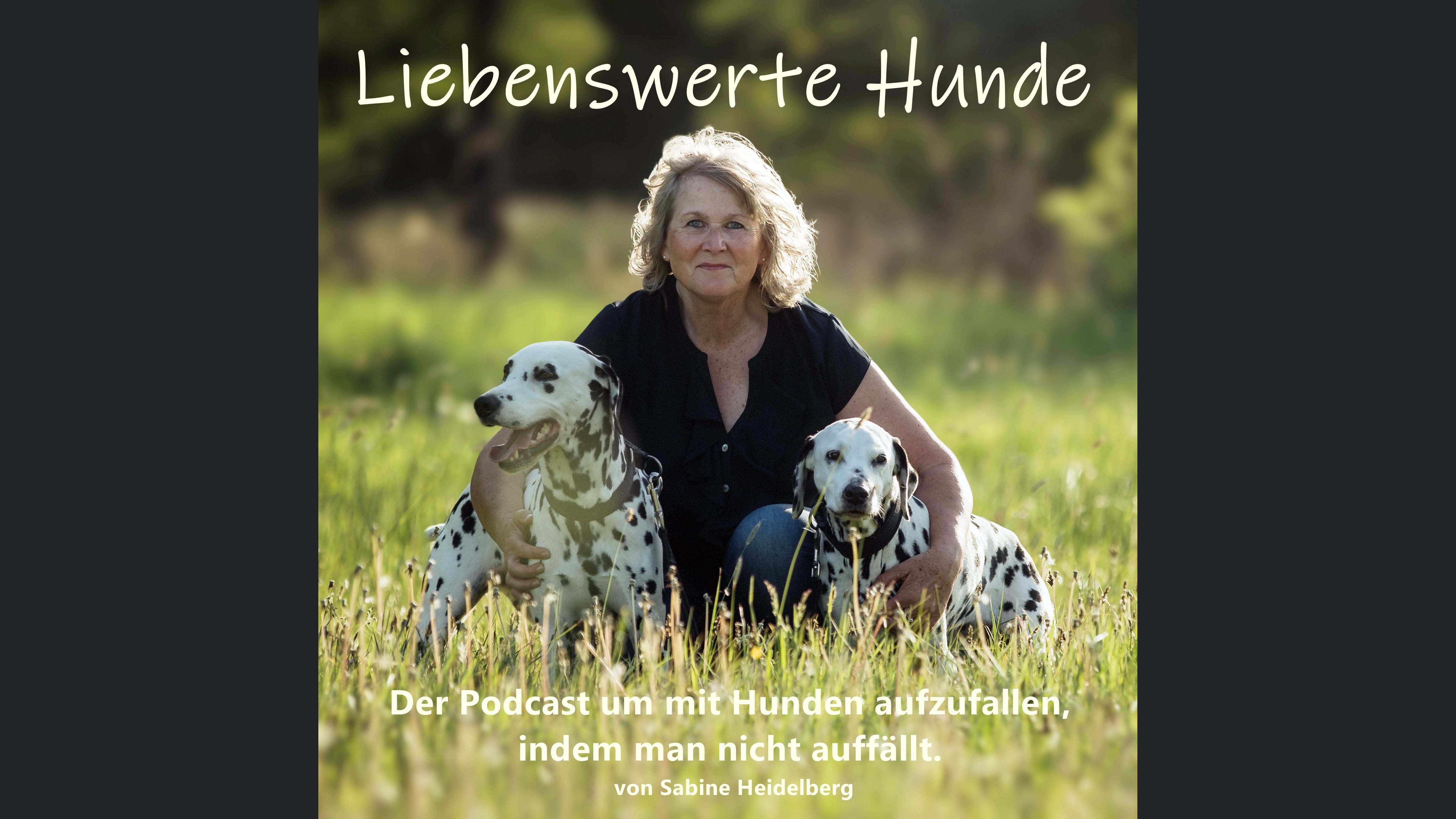 Liebenswerte Hunde - Mit Hunden auffallen, indem man nicht auffällt.