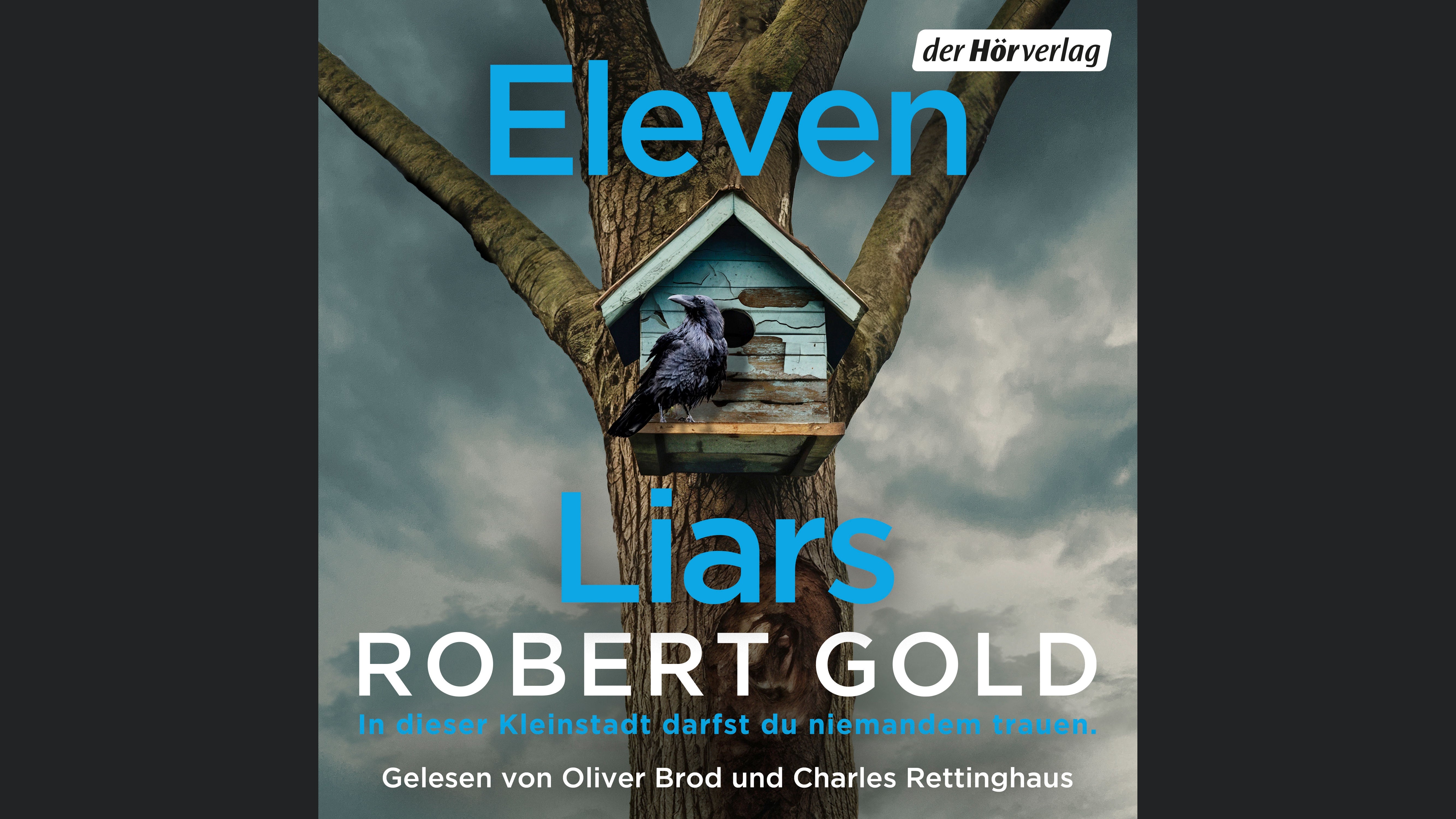 Eleven Liars