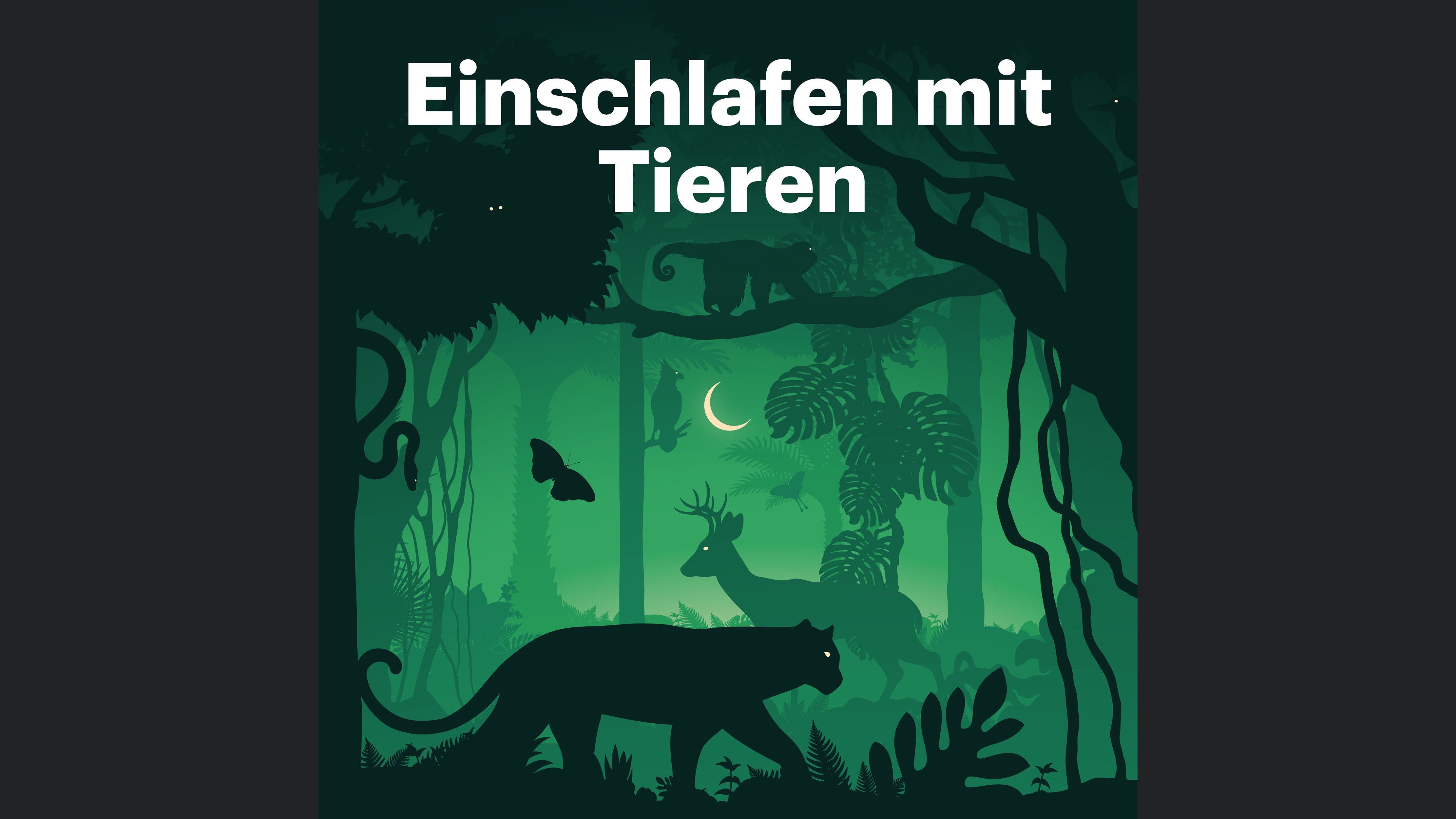 Einschlafen mit Tieren