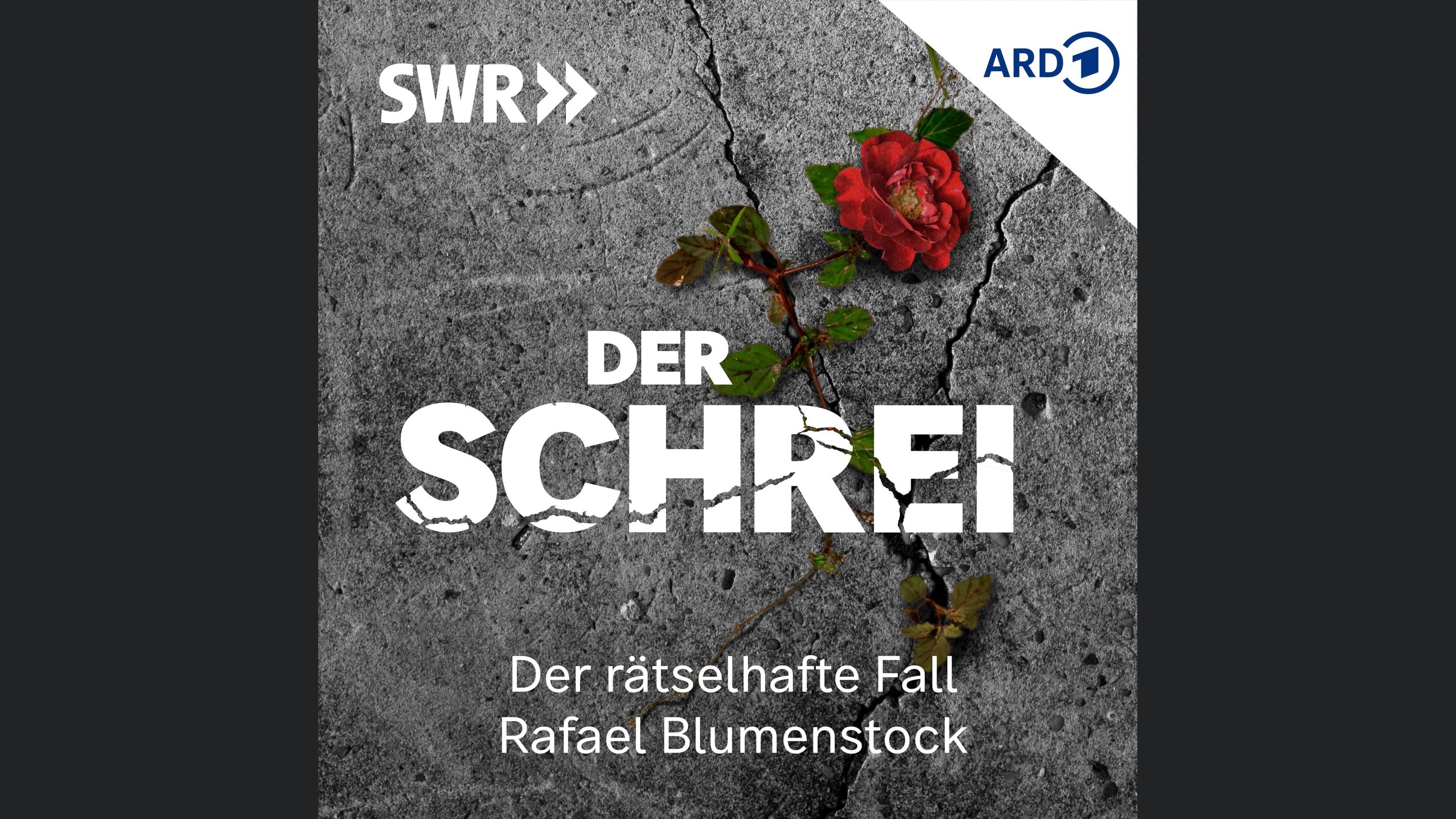 Der Schrei – Der rätselhafte Fall Rafael Blumenstock
