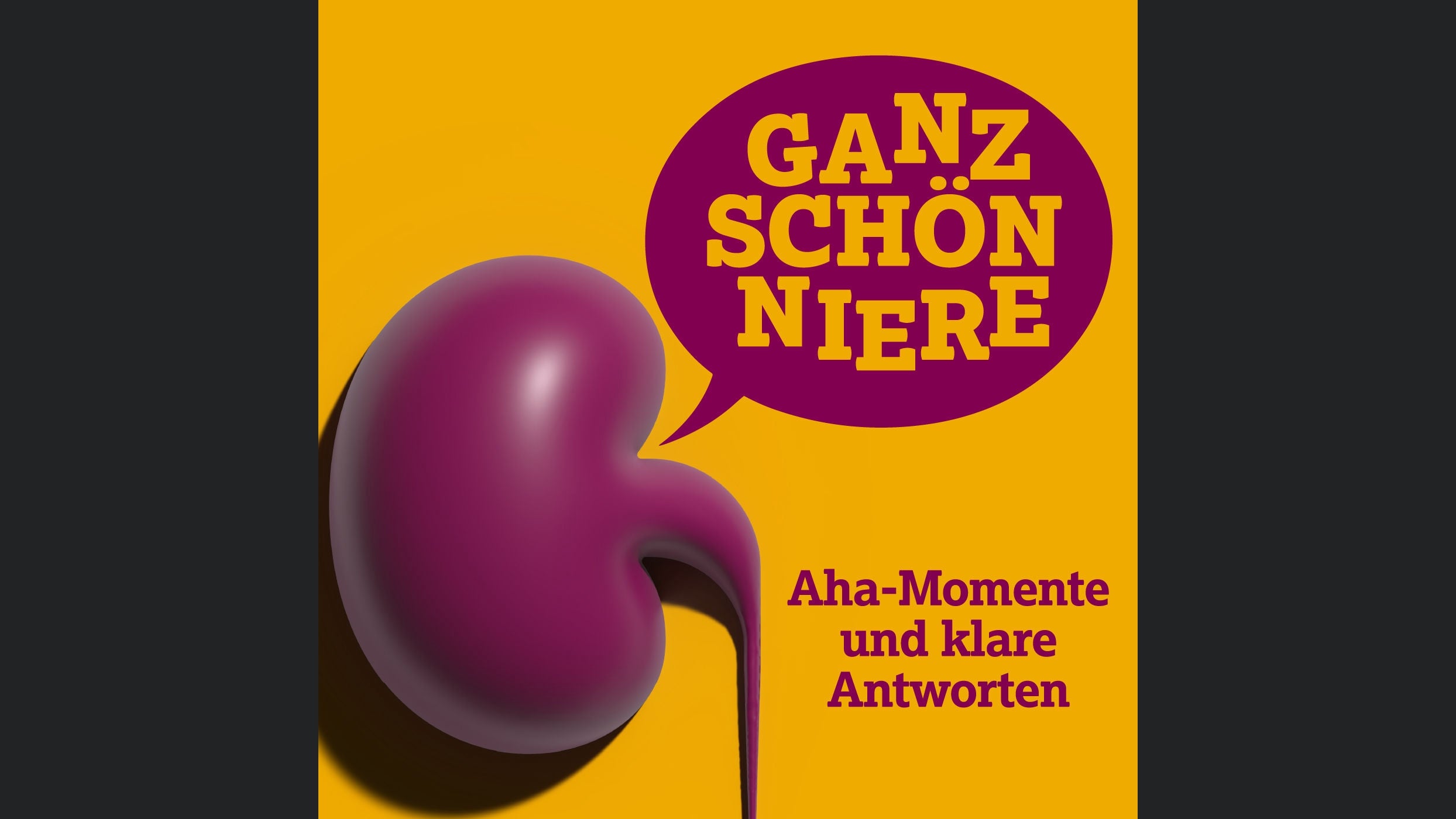 Ganz Schön Niere