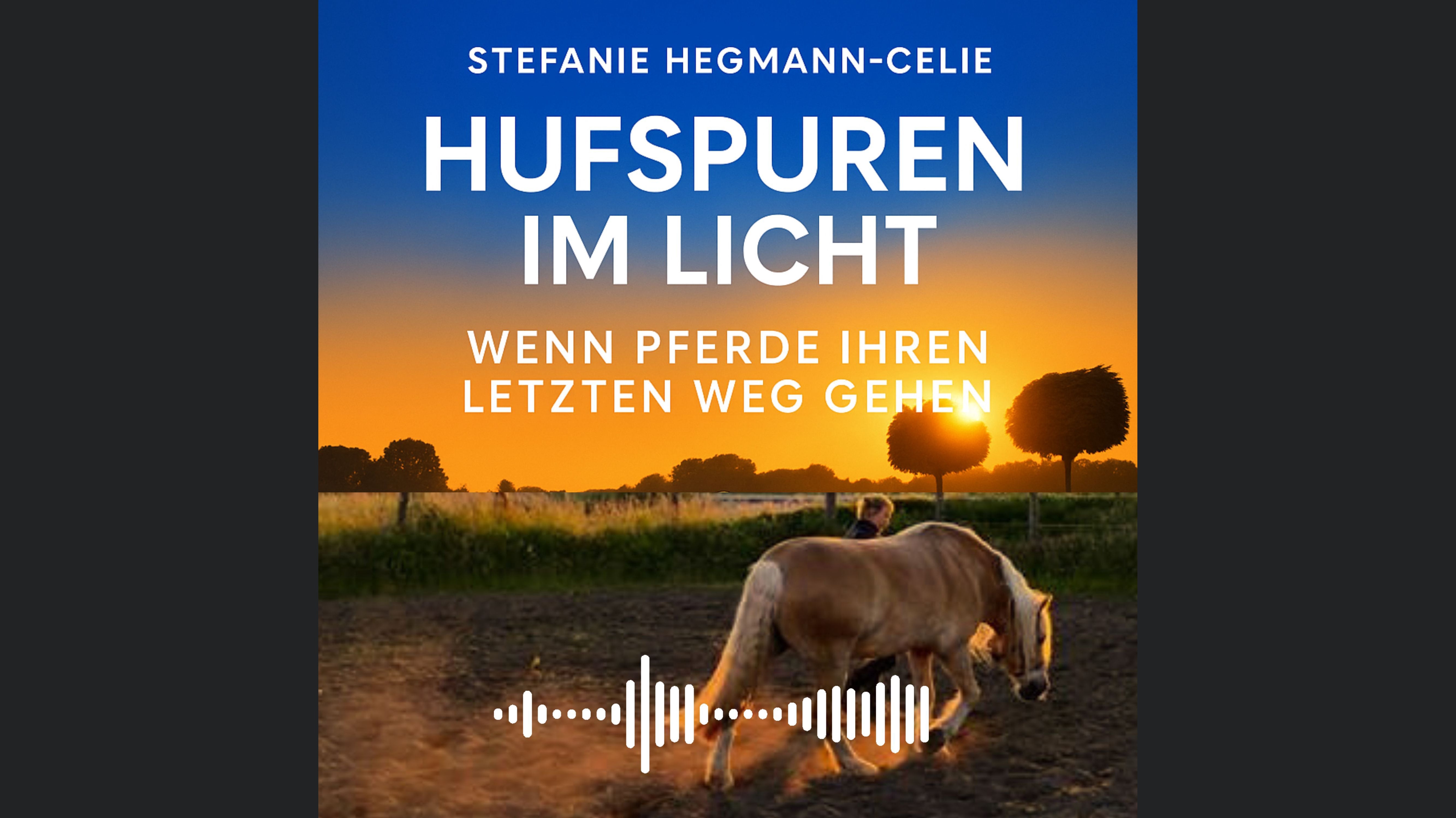 Hufspuren im Licht - Wenn Pferde ihren letzten Weg gehen