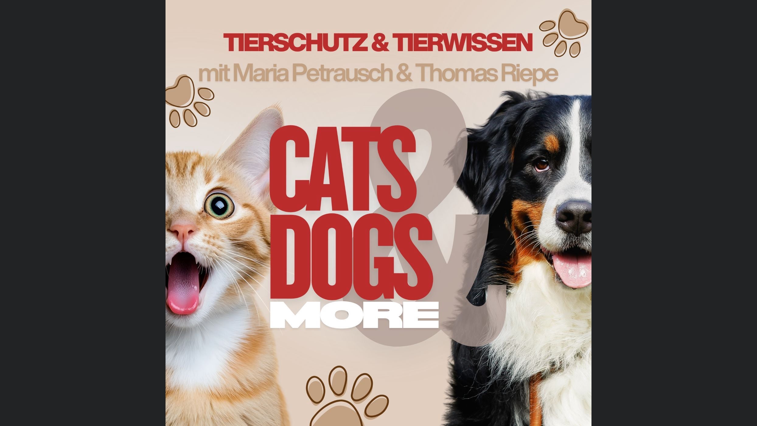 CATS & DOGS & MORE
