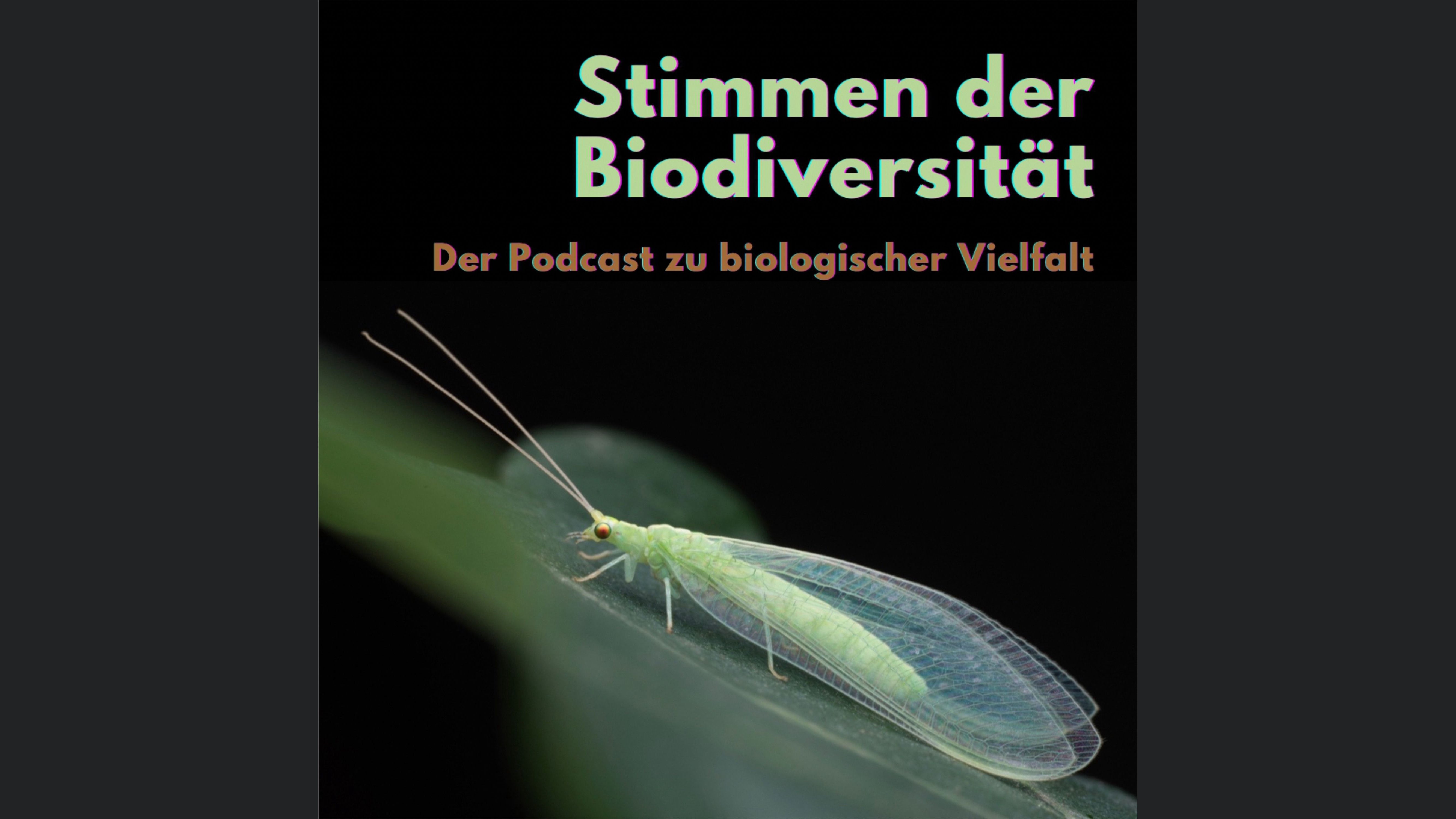 Stimmen der Biodiversität - Der Podcast zu biologischer Vielfalt