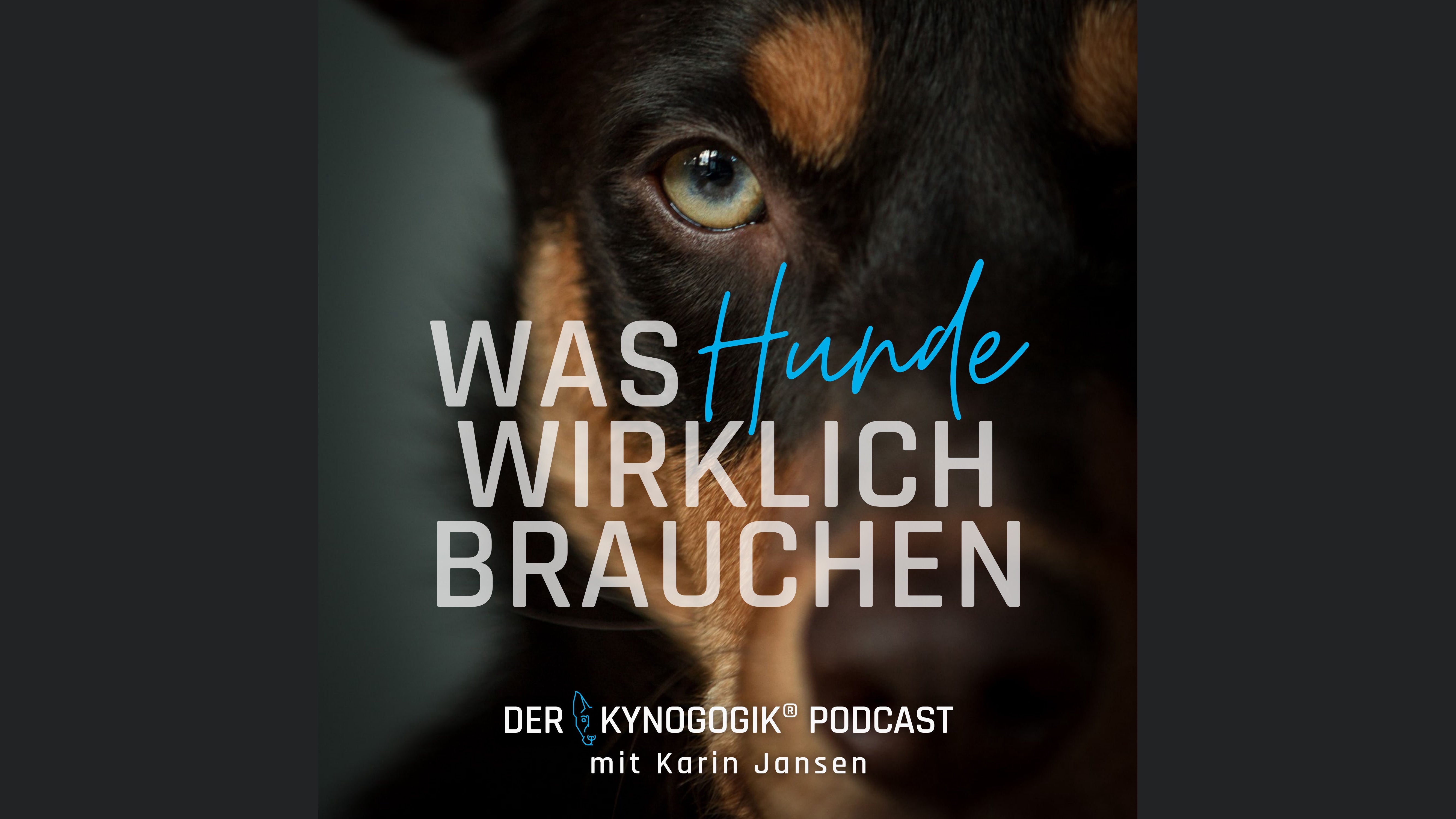 Der Kynogogik® Podcast mit Karin Jansen – Was Hunde wirklich brauchen.