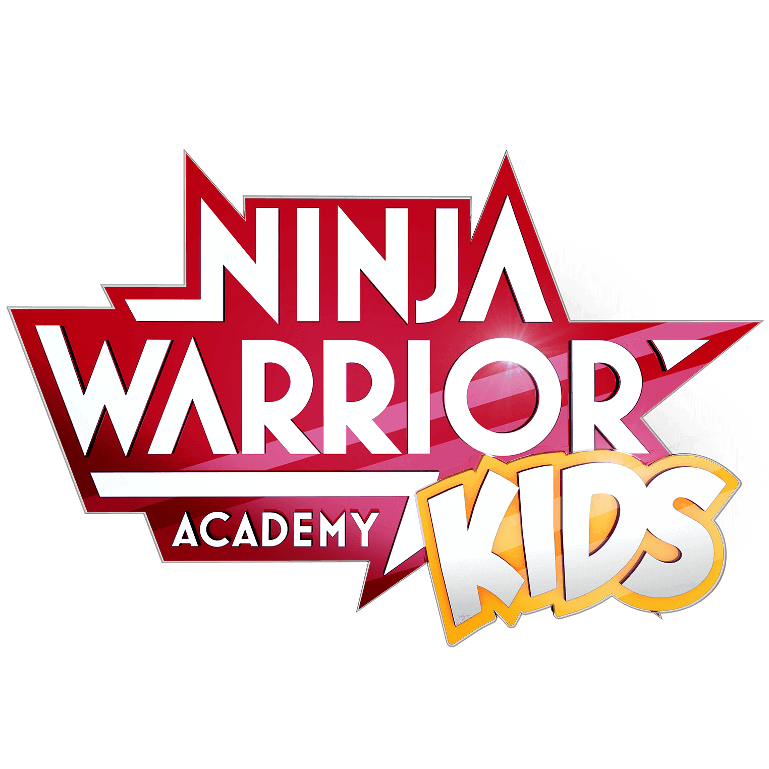 Ninja Warrior Germany Kids Academy