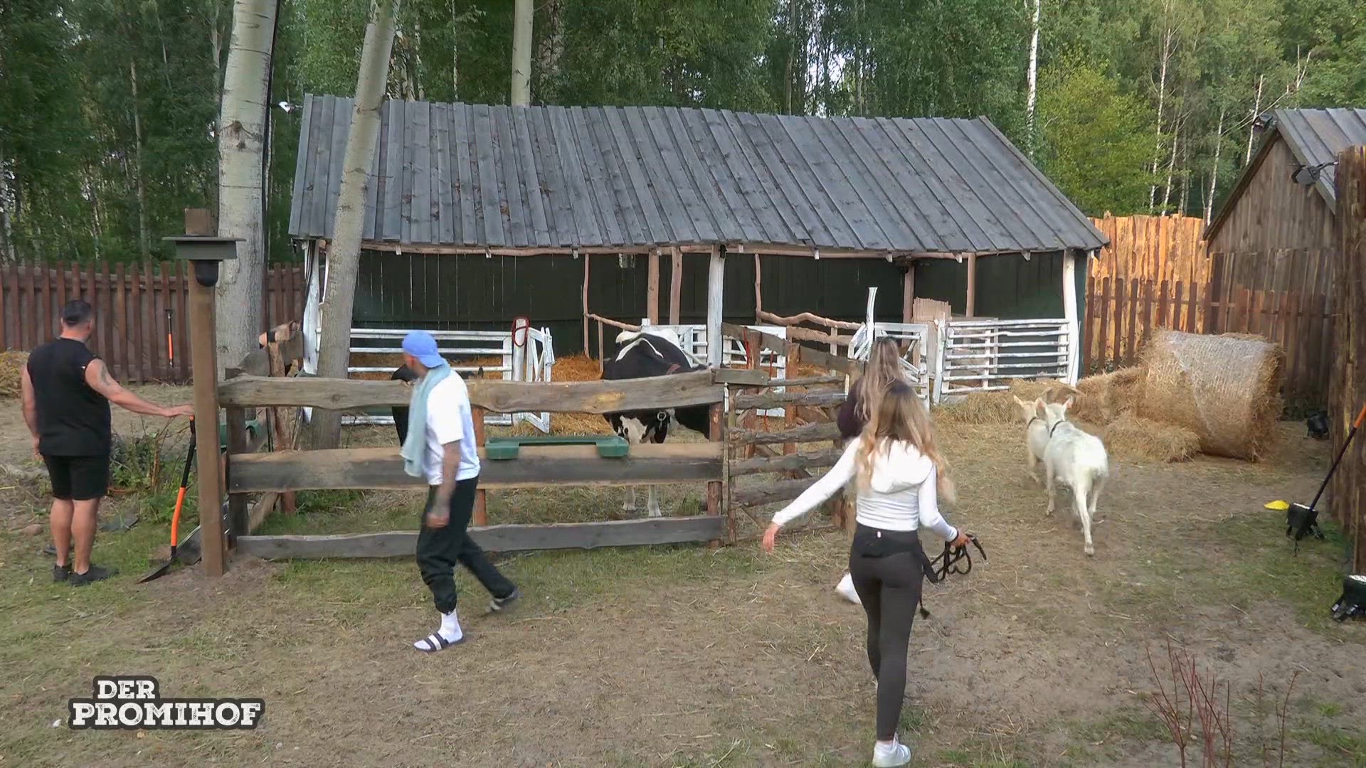 Folge 5