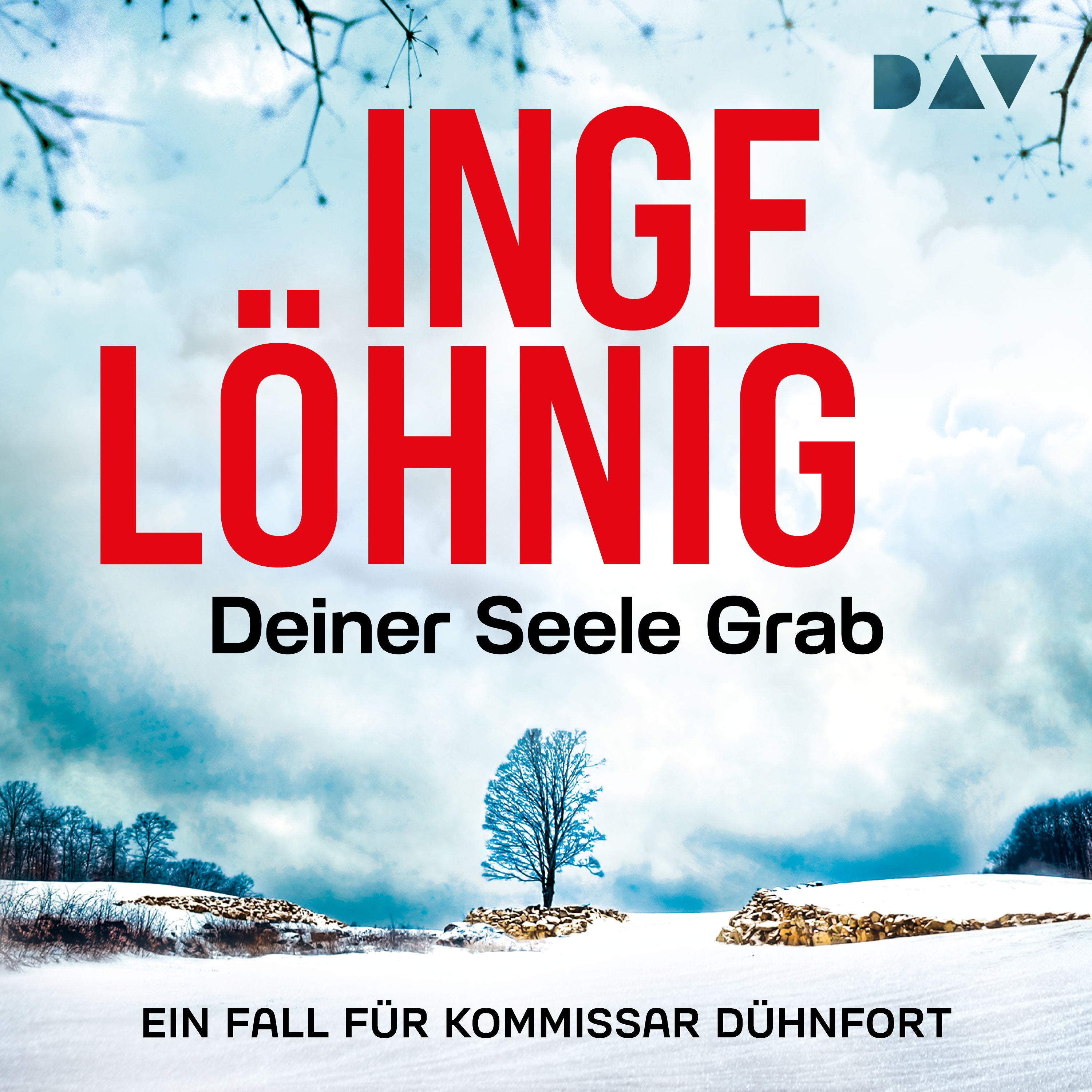Deiner Seele Grab. Ein Fall für Kommissar Dühnfort  (Dühnfort 6)