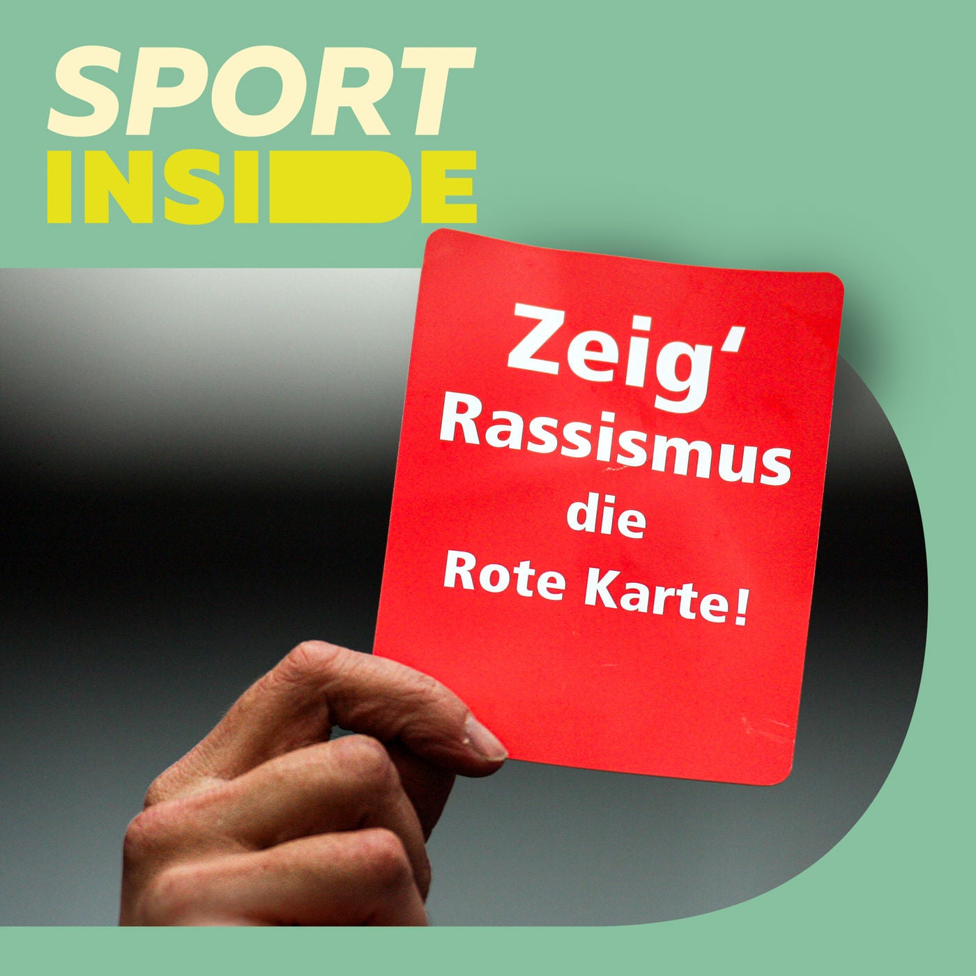 Rassismus im Fußball: Vom Dorfplatz bis in die Bundesligastadien
