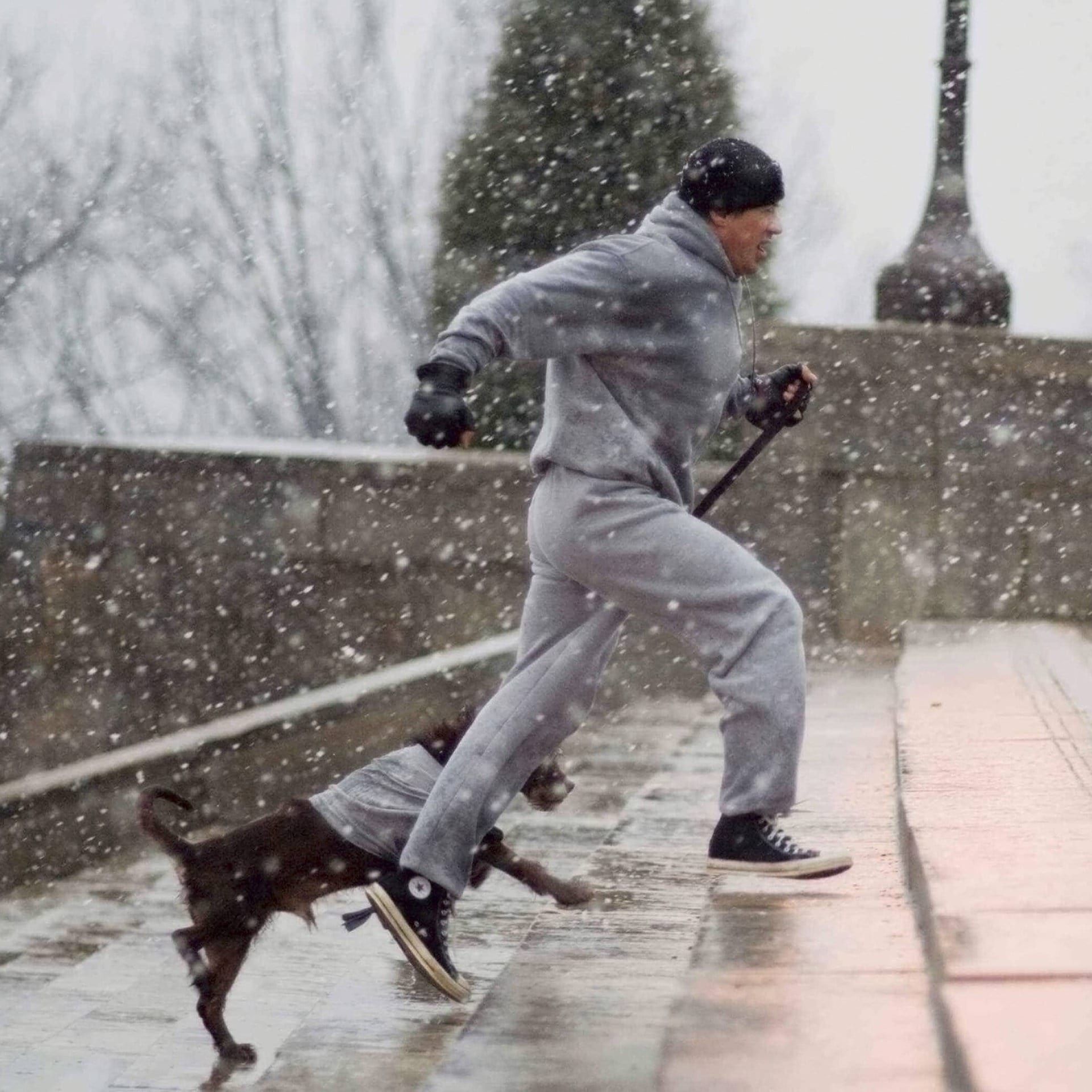 Rocky – Ein Training für die Ewigkeit