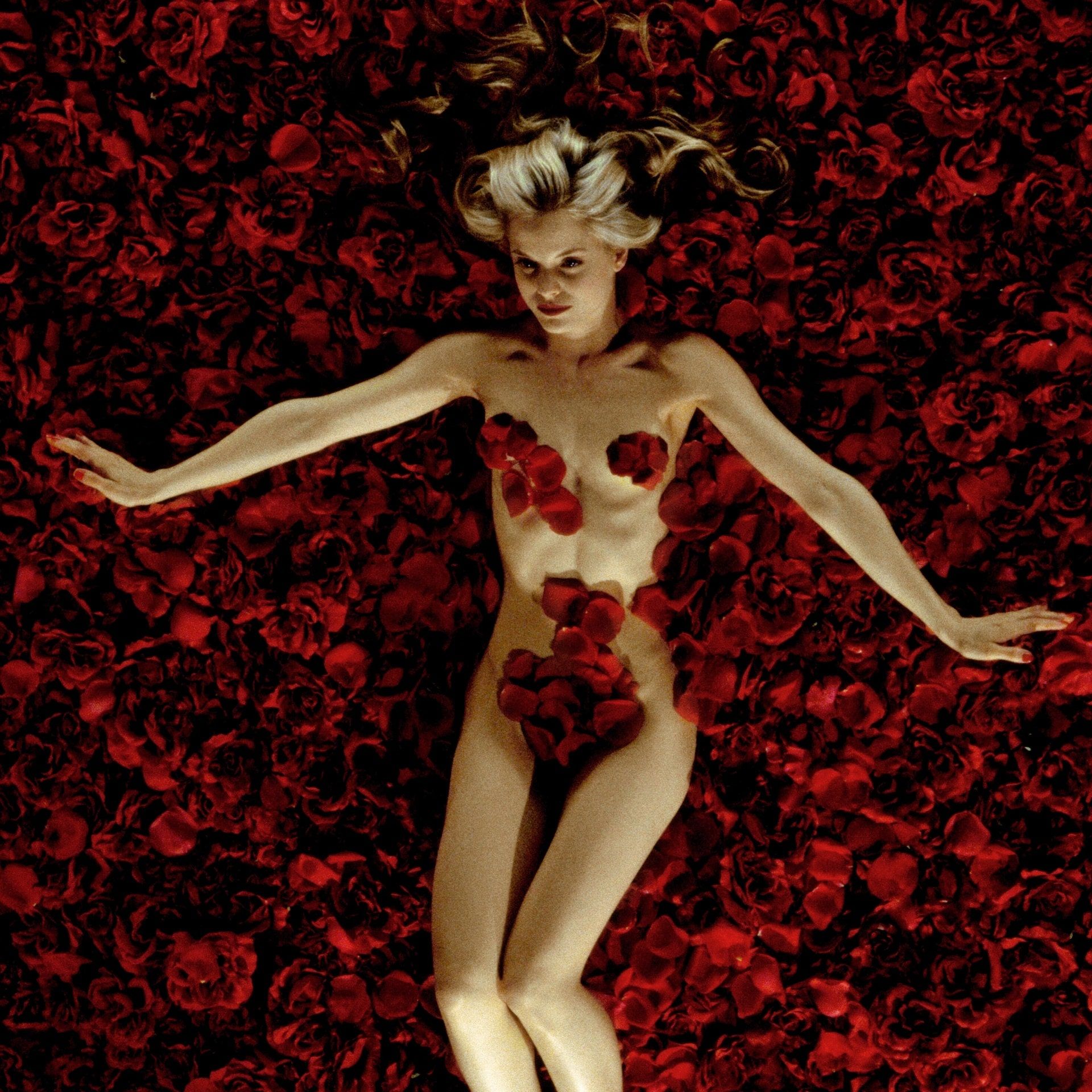 American Beauty - Im Kopf eines Besessenen