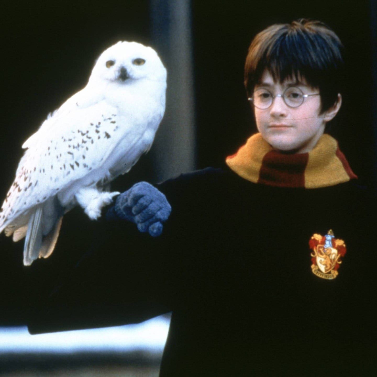 Lieblingsfolge: Harry Potter - Die Magie der Eulen