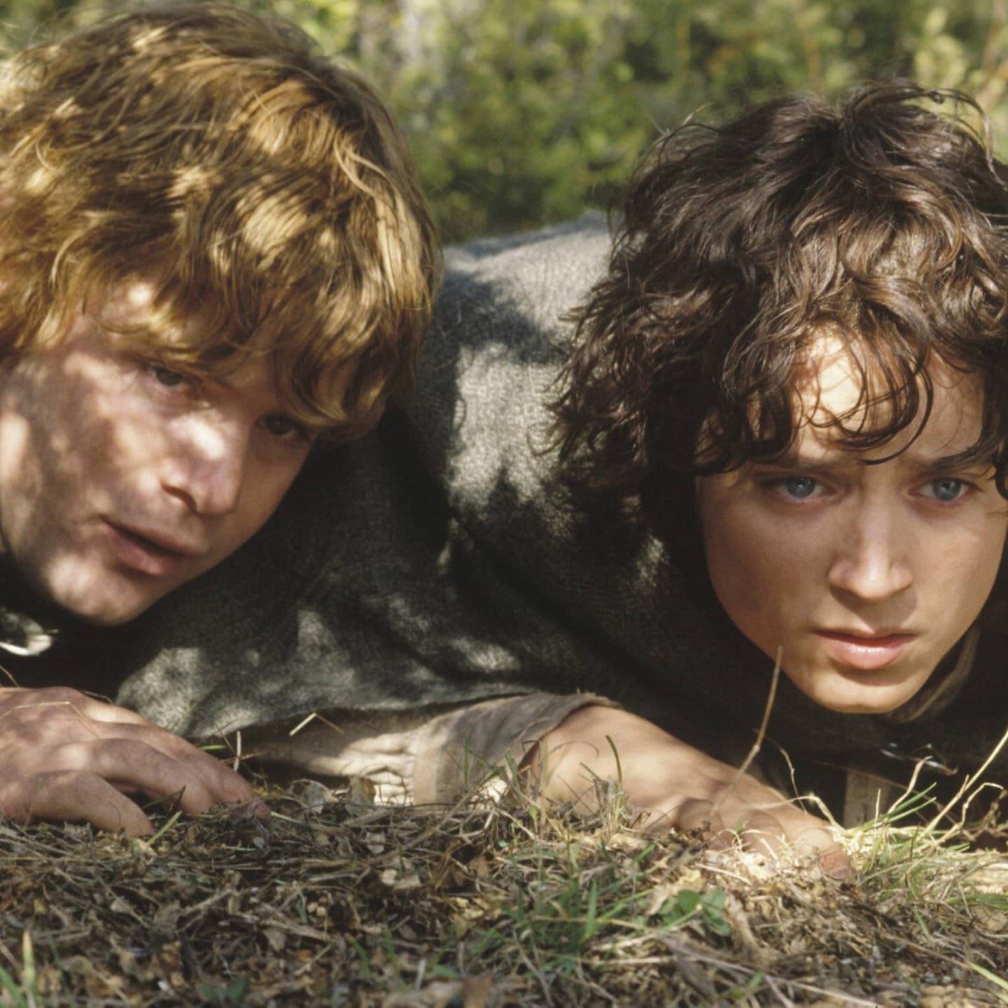 Der Herr der Ringe – Hoffnung für Hobbits