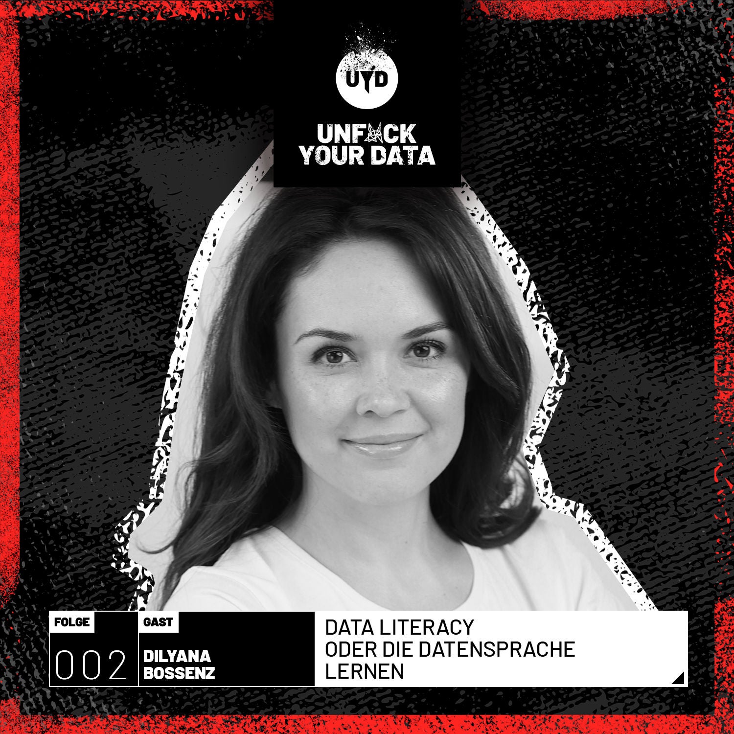 Data Literacy oder die Datensprache lernen | Dilyana Bossenz