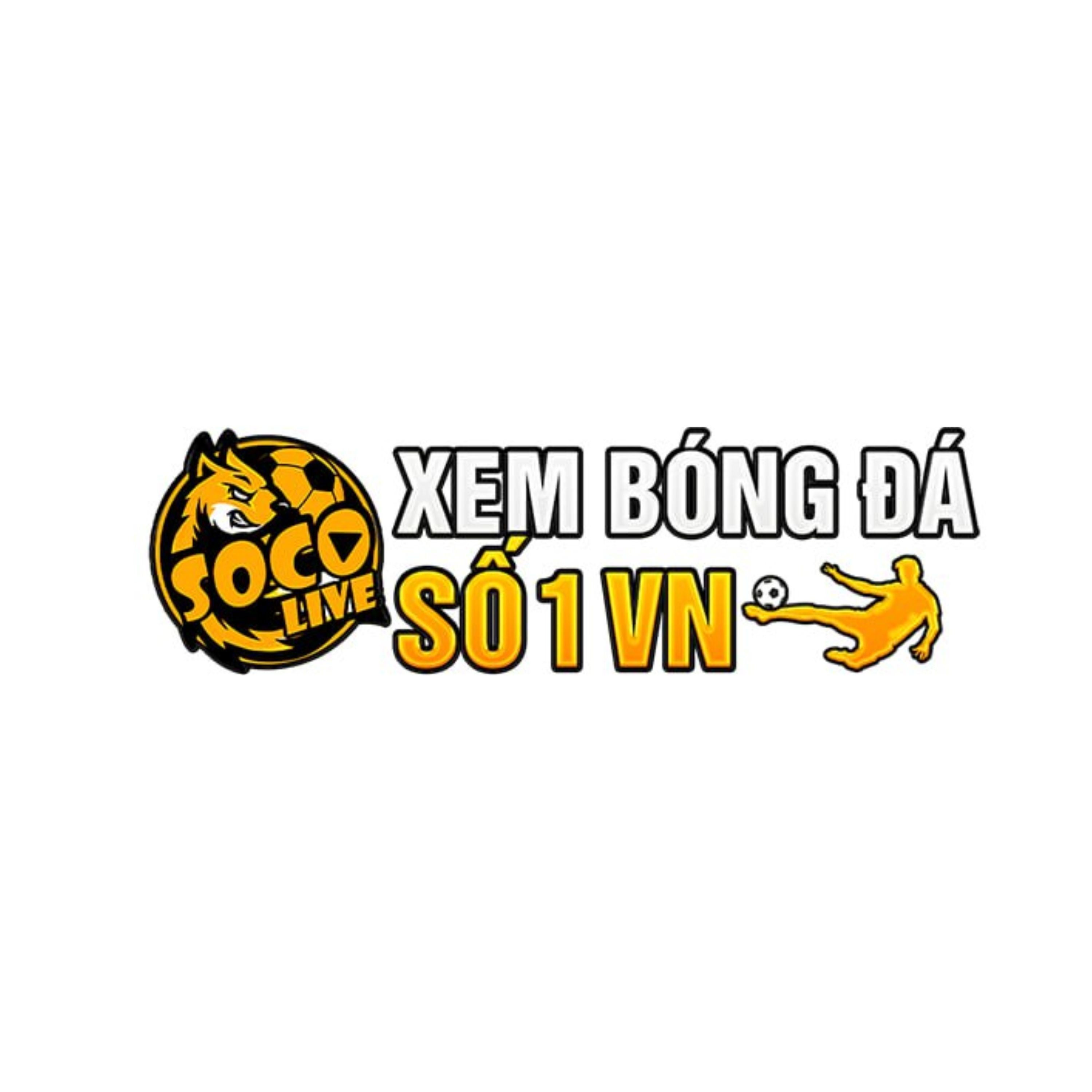 Socolivegold Cong Thong Tin Bong Da Hien Dai