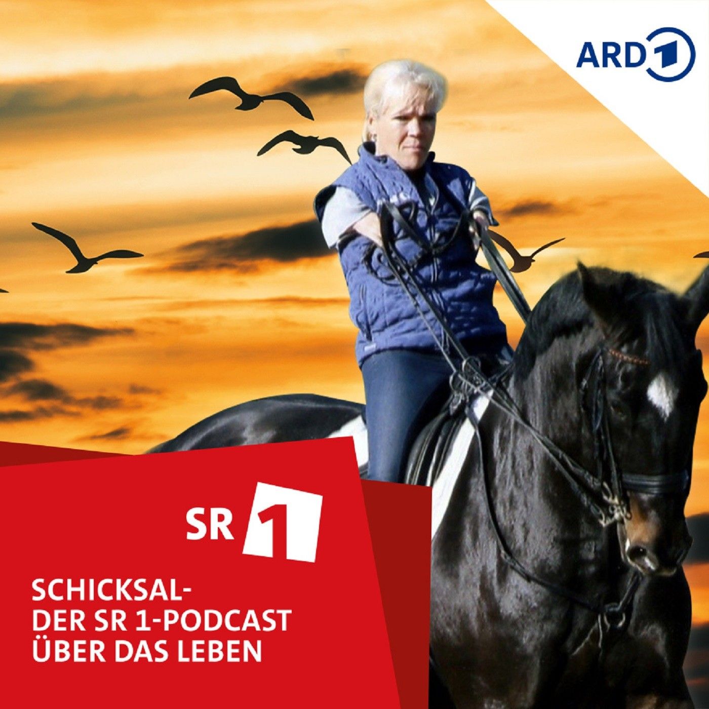 Contergan-Kind, Weltmeisterin, Pionierin
