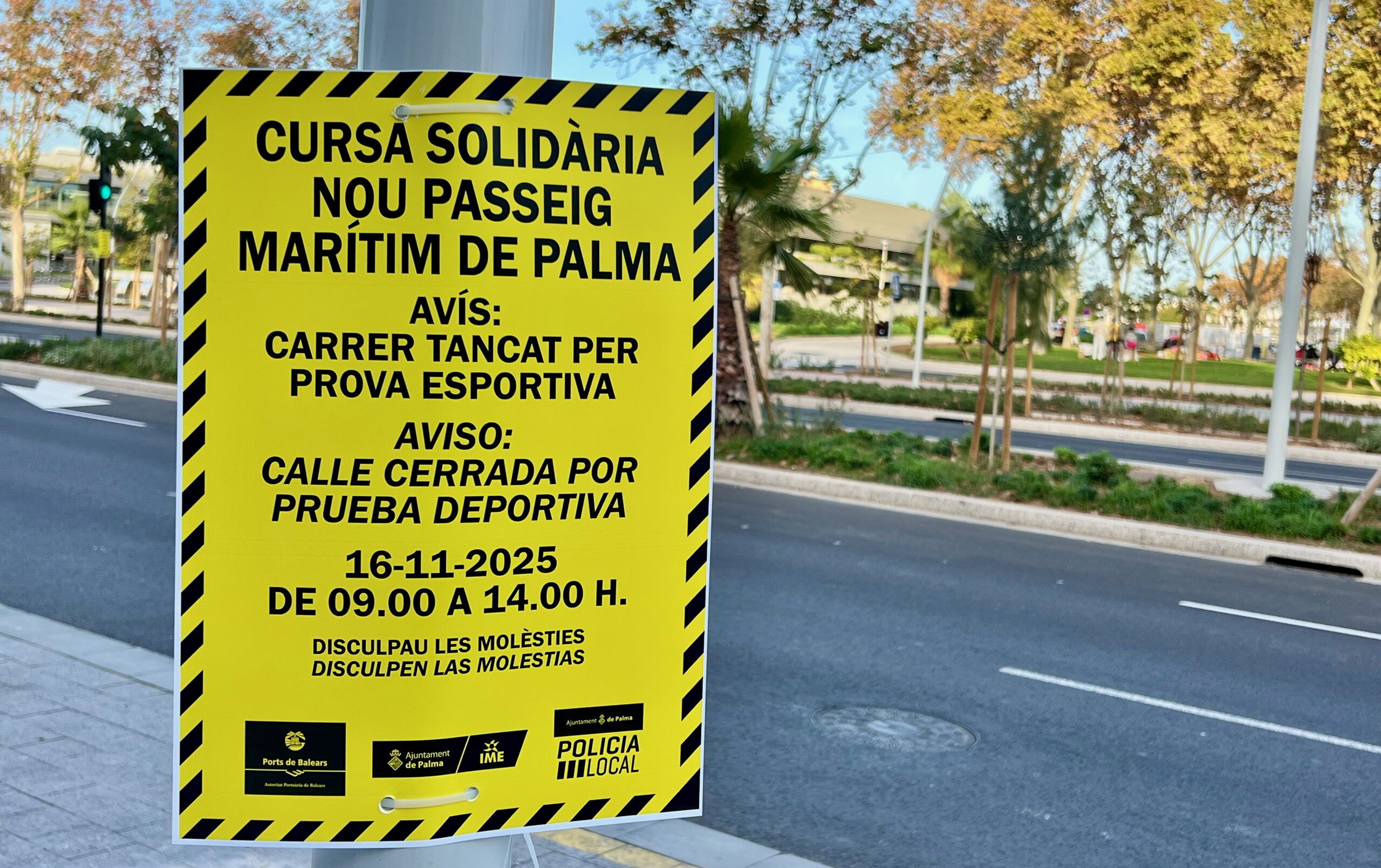 5 Minuten Mallorca | Nachrichten am 15. November 2025