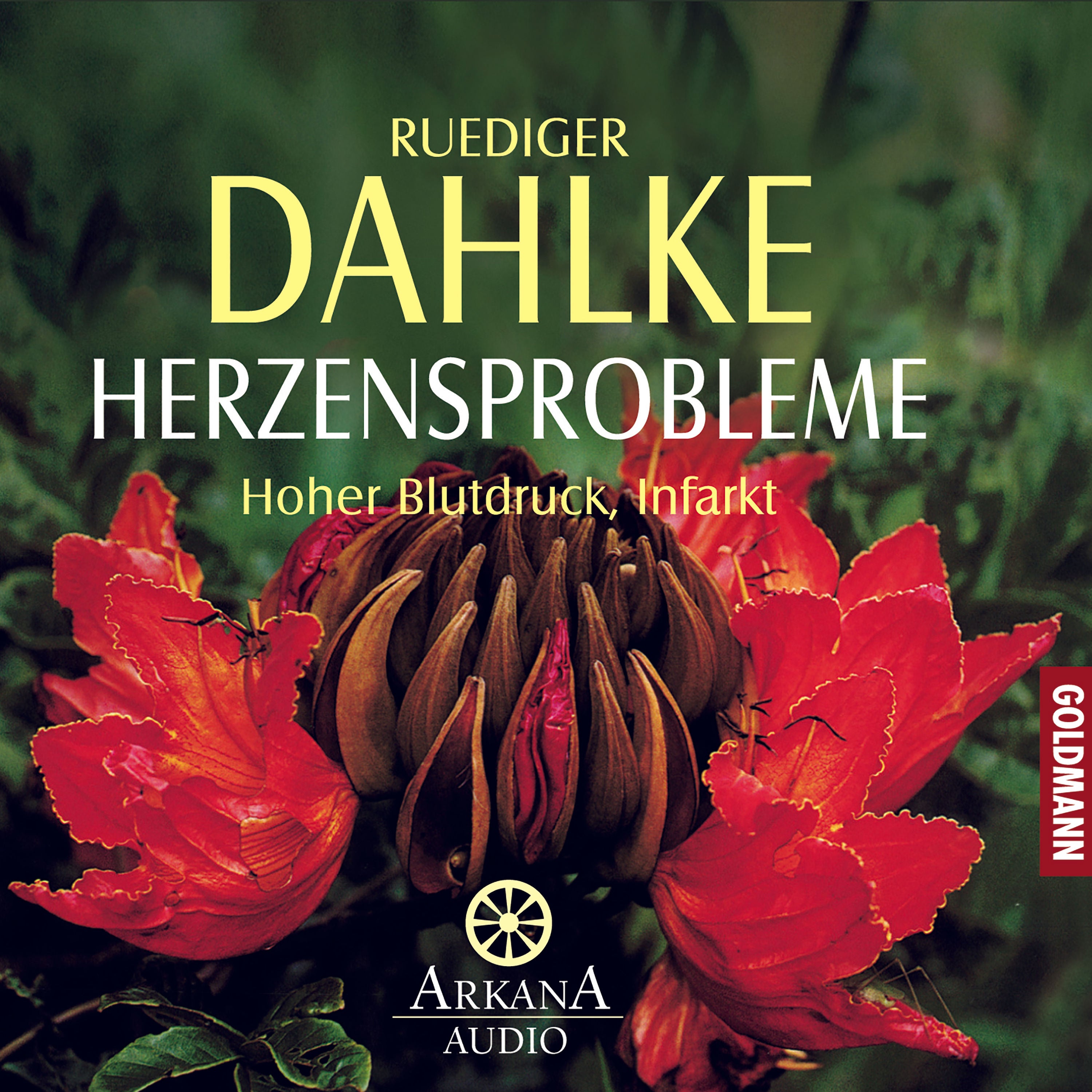 Herzensprobleme