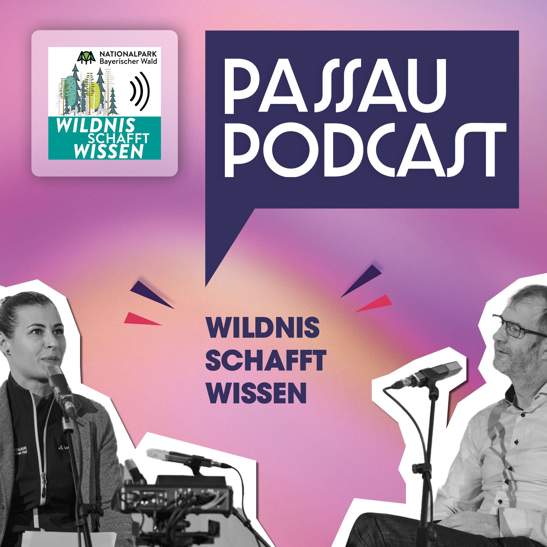 Wildnis schafft Wissen – All about Borkenkäfer