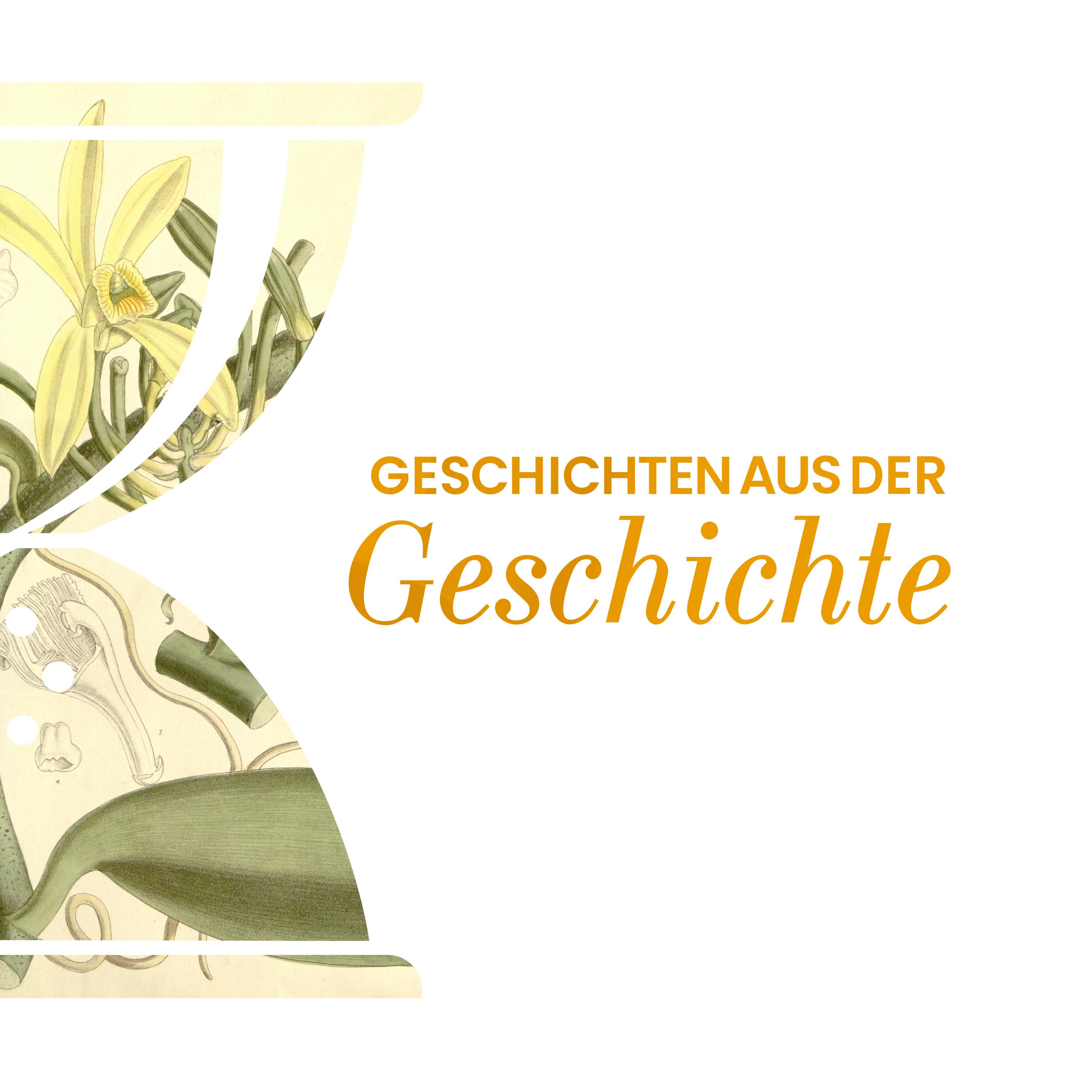 GAG530: Vanillin und die Königin der Gewürze