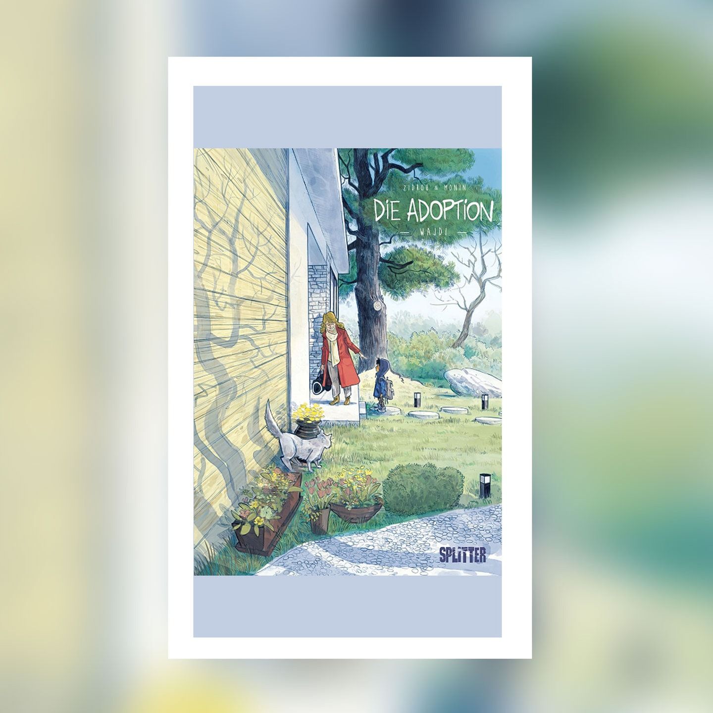Zidrou und Arno Monin – Die Adoption: Wajdi | Buchkritik