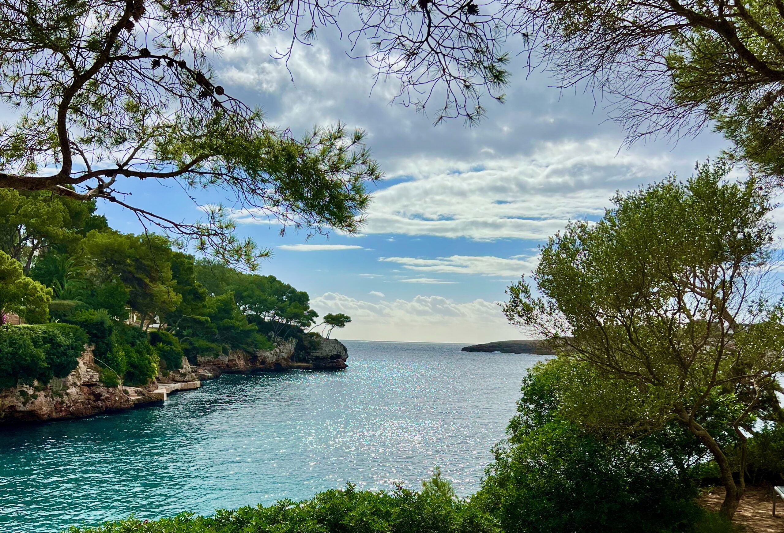 5 Minuten Mallorca | Nachrichten am 20. November 2025