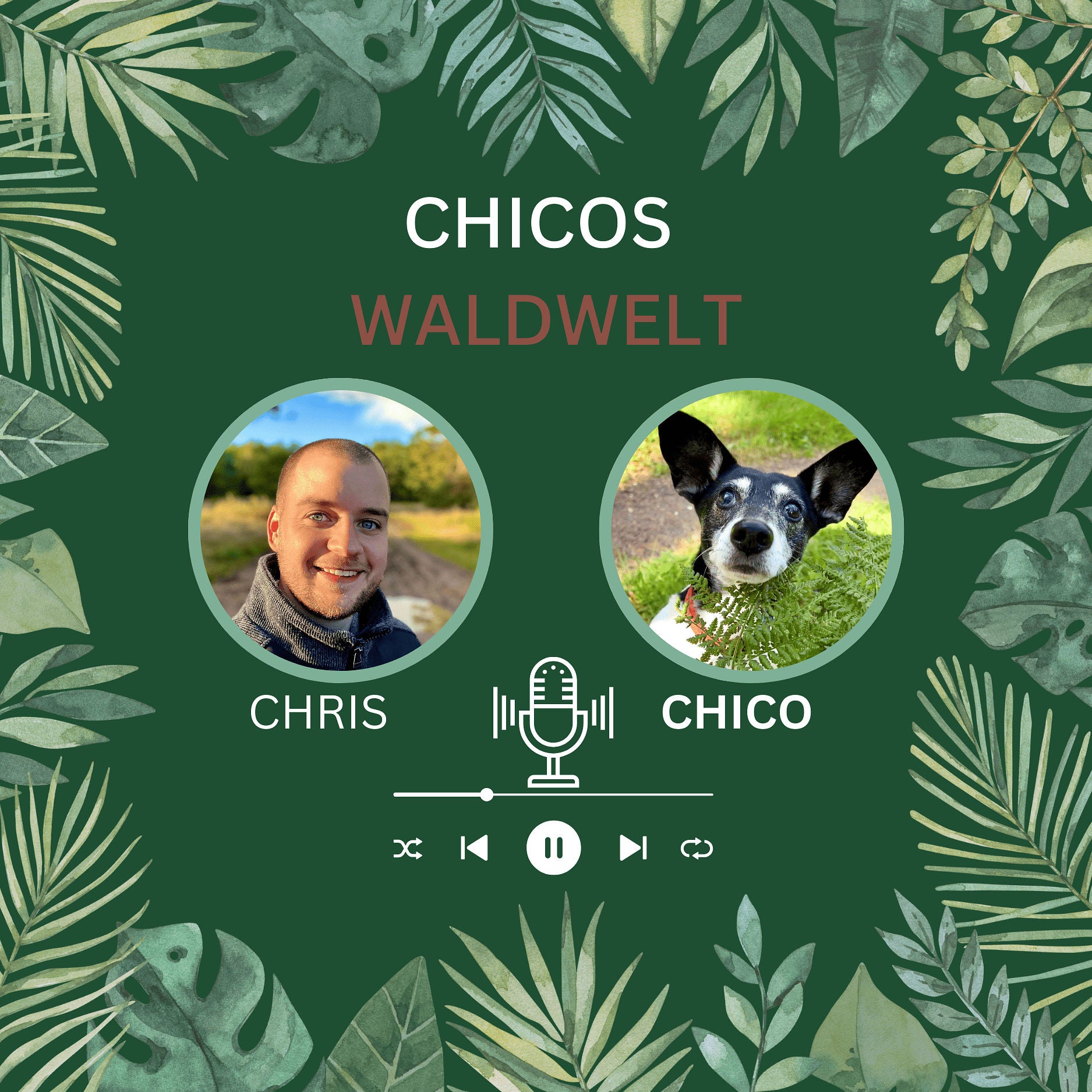Chicos Waldwelt