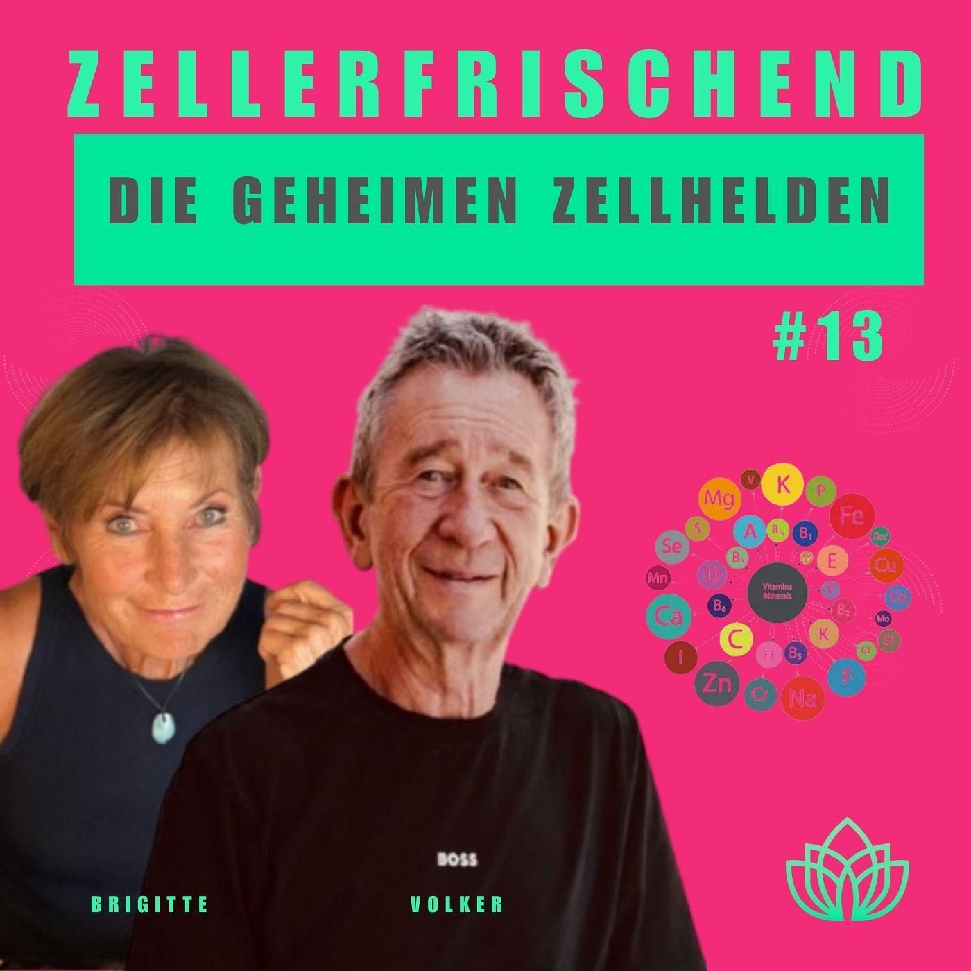 Zellerfrischend - Mikronährstoffe – klein, aber lebensentscheidend: dein Schlüssel zur Vitalität