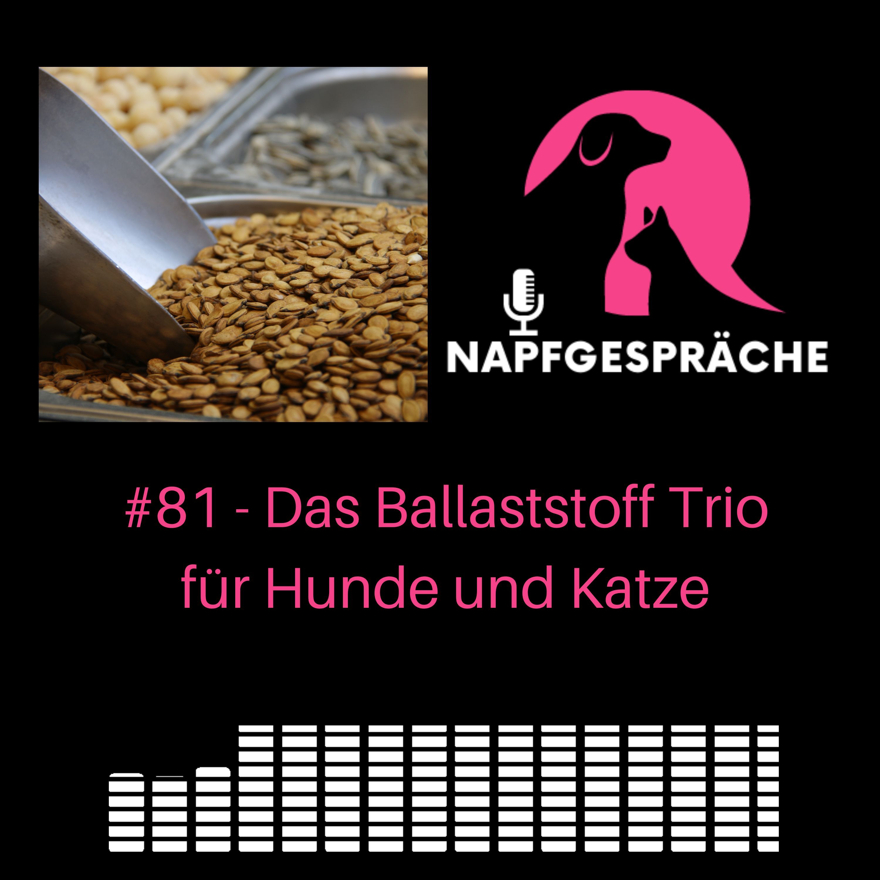 #81 - Das Ballaststoff Trio für Hunde und Katzen