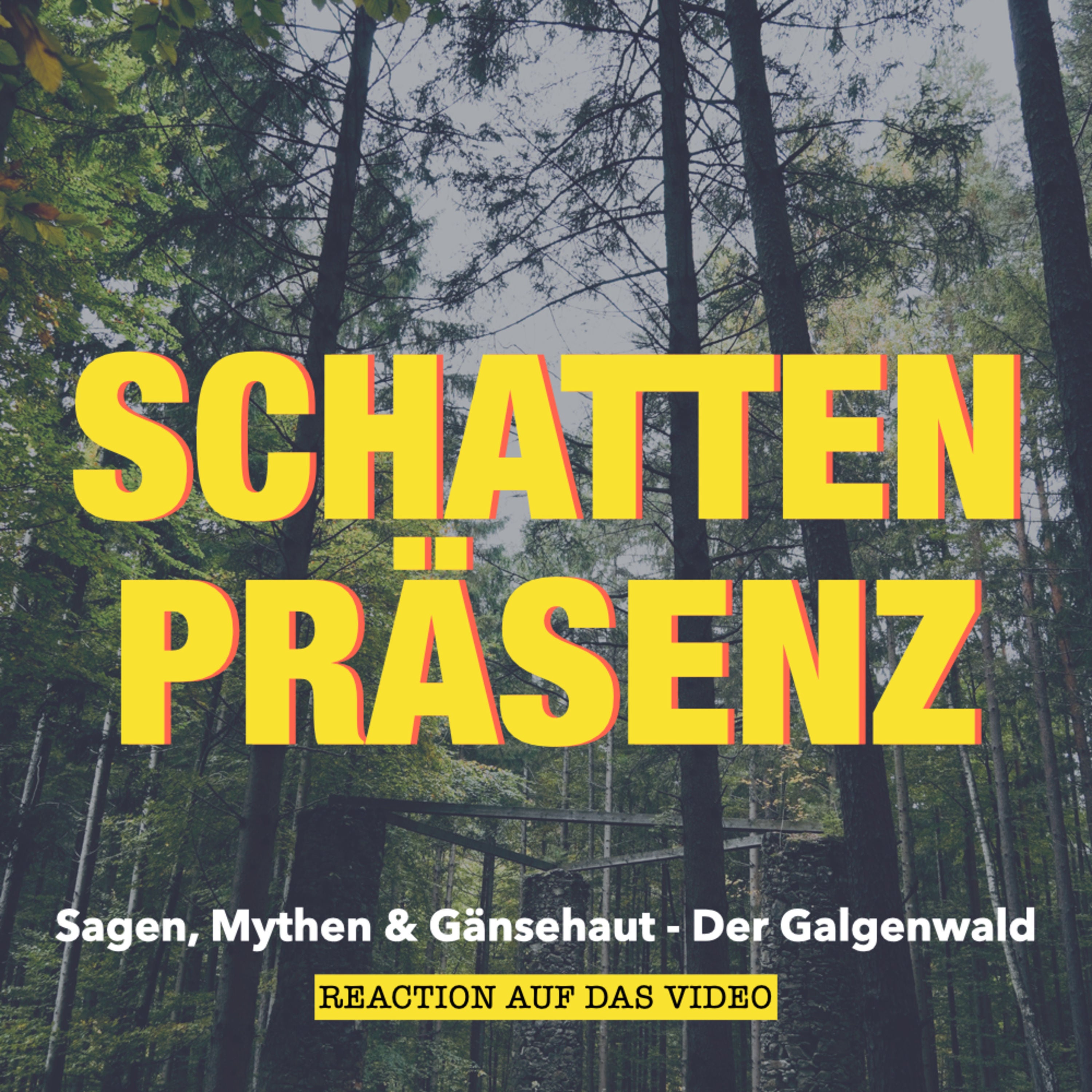 Sagen, Mythen & Gänsehaut - Der Galgenwald