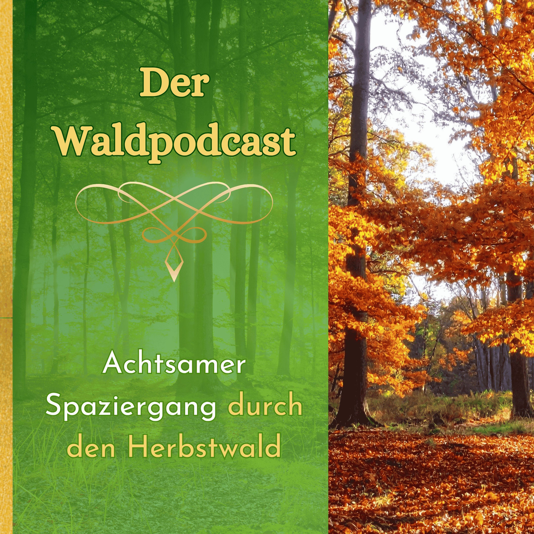Achtsamer Spaziergang durch den Herbstwald