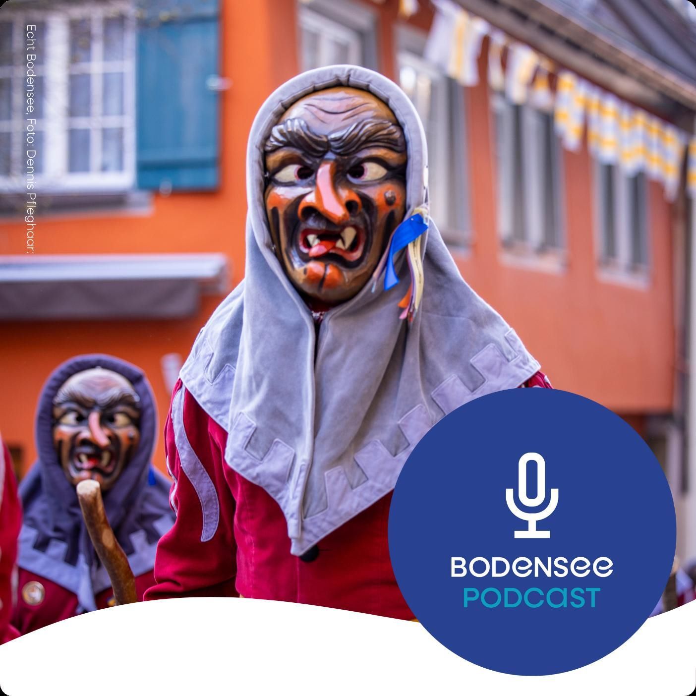 Narro am See! - Das Stockacher Narrengericht und die schwäbisch-alemannische Fasnet