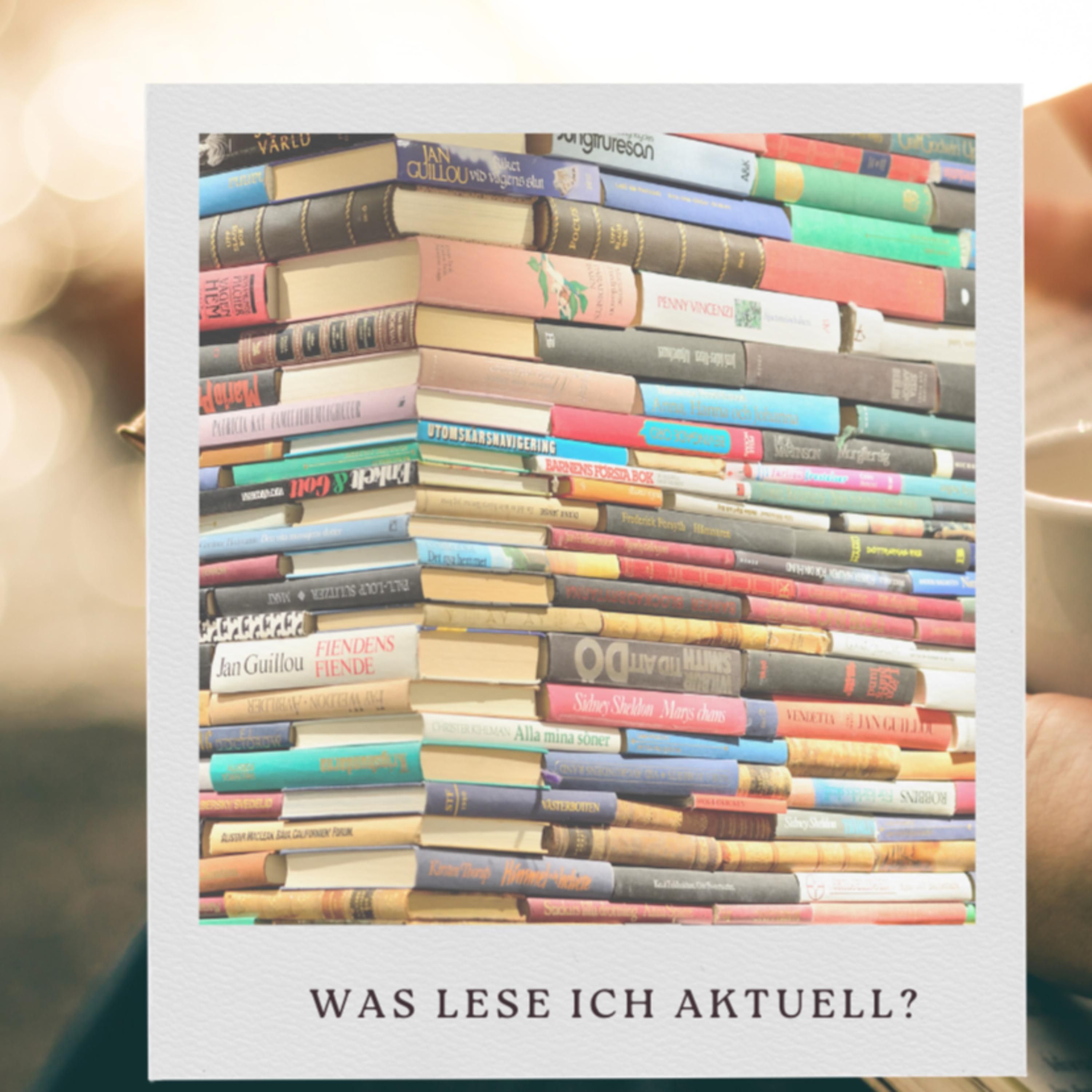 Folge 24: Was ich aktuell Lese und warum?