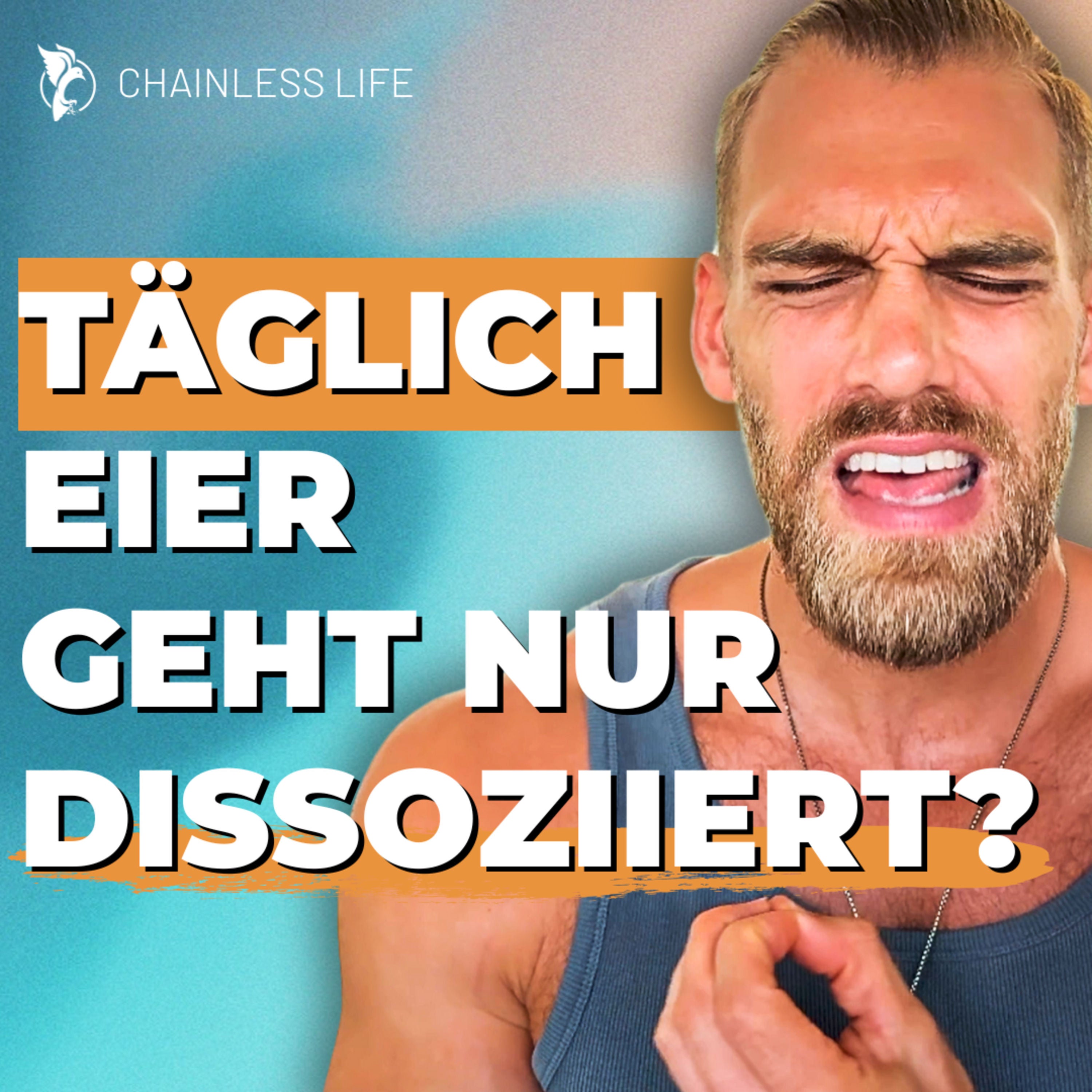 Fazit nach 8-Wochen EIER-EXPERIMENT (Energie, Gesundheit & harte Learnings) #358